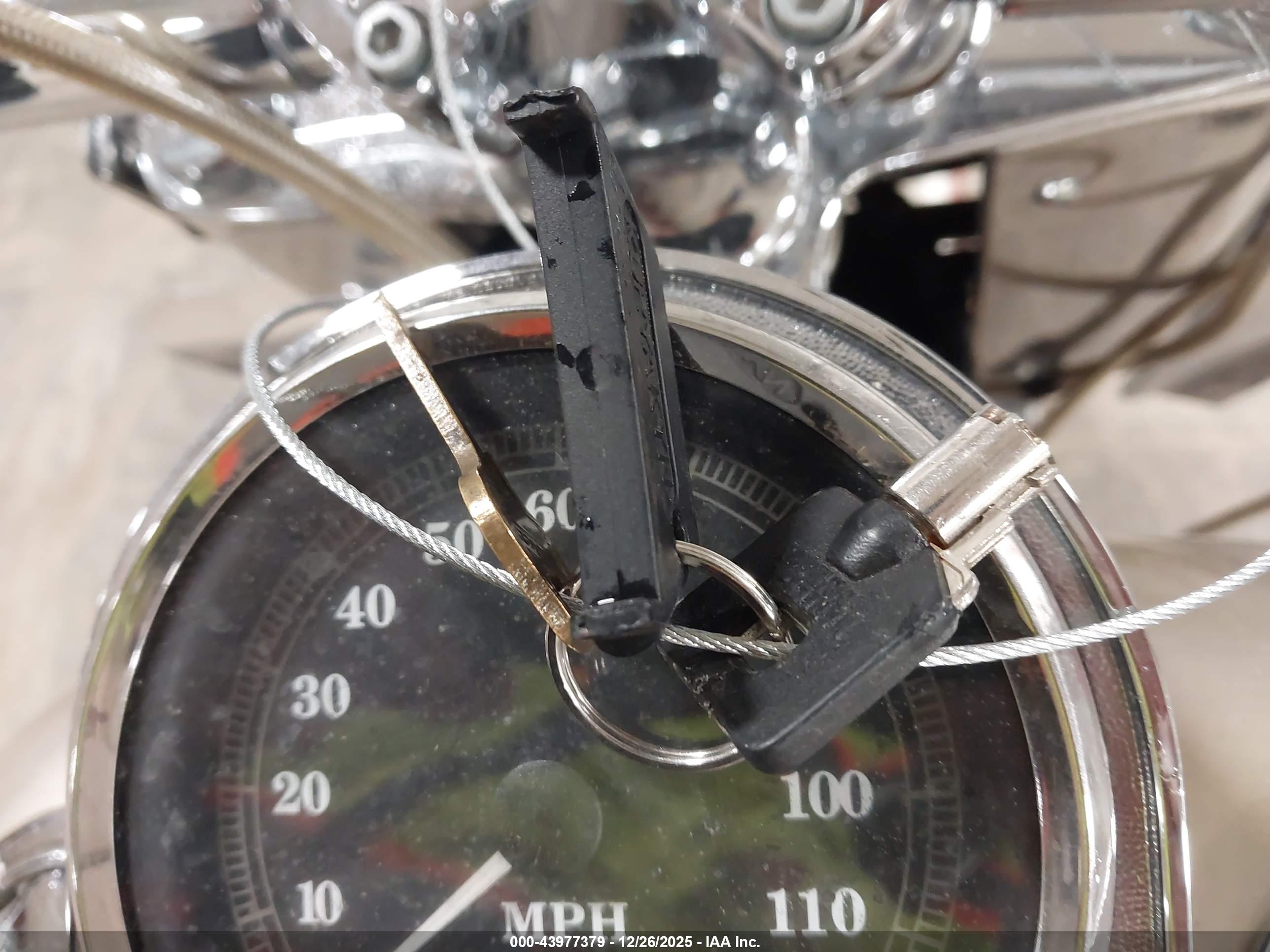 HARLEY-DAVIDSON FLSTF image 11