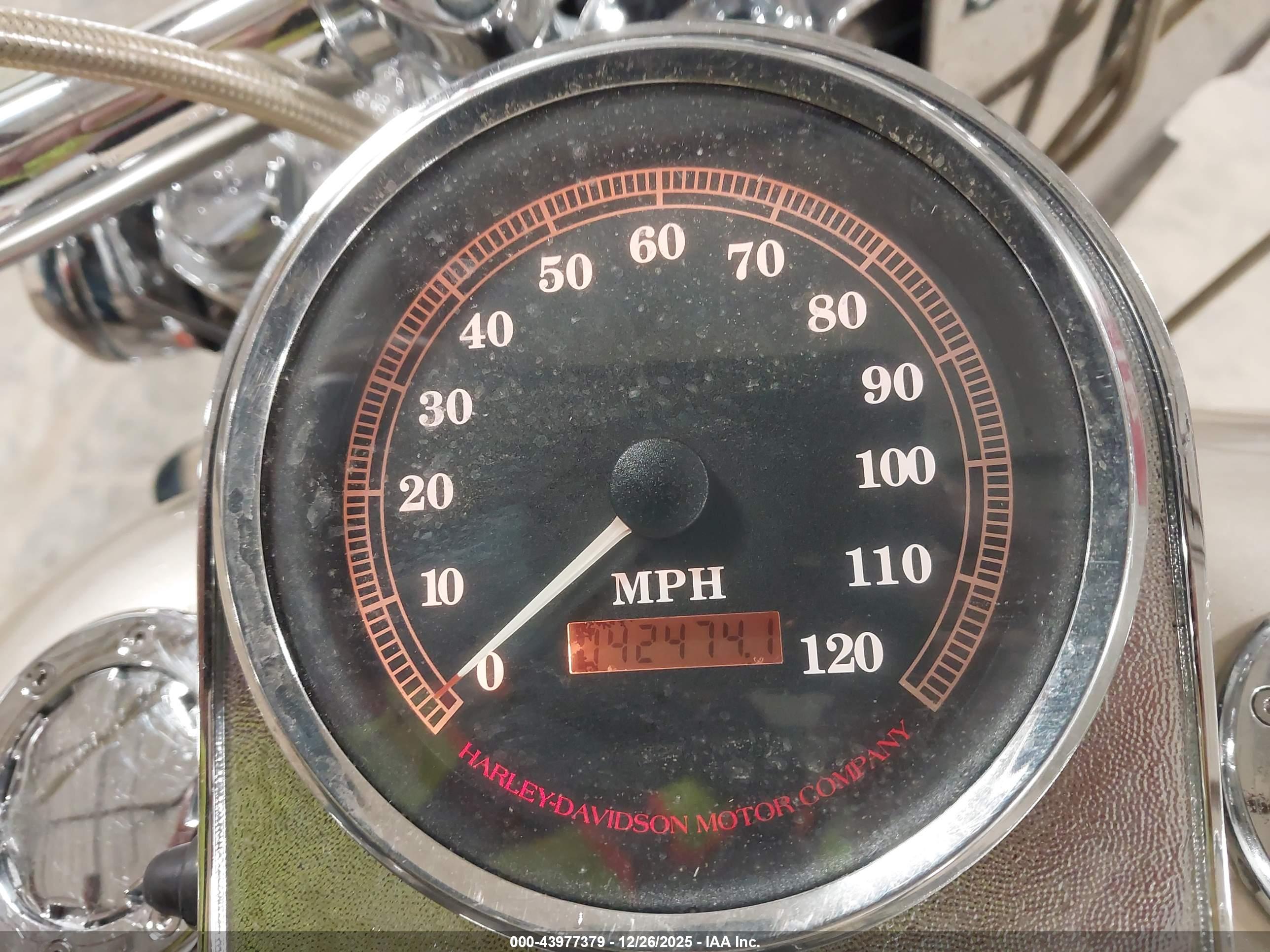HARLEY-DAVIDSON FLSTF image 7