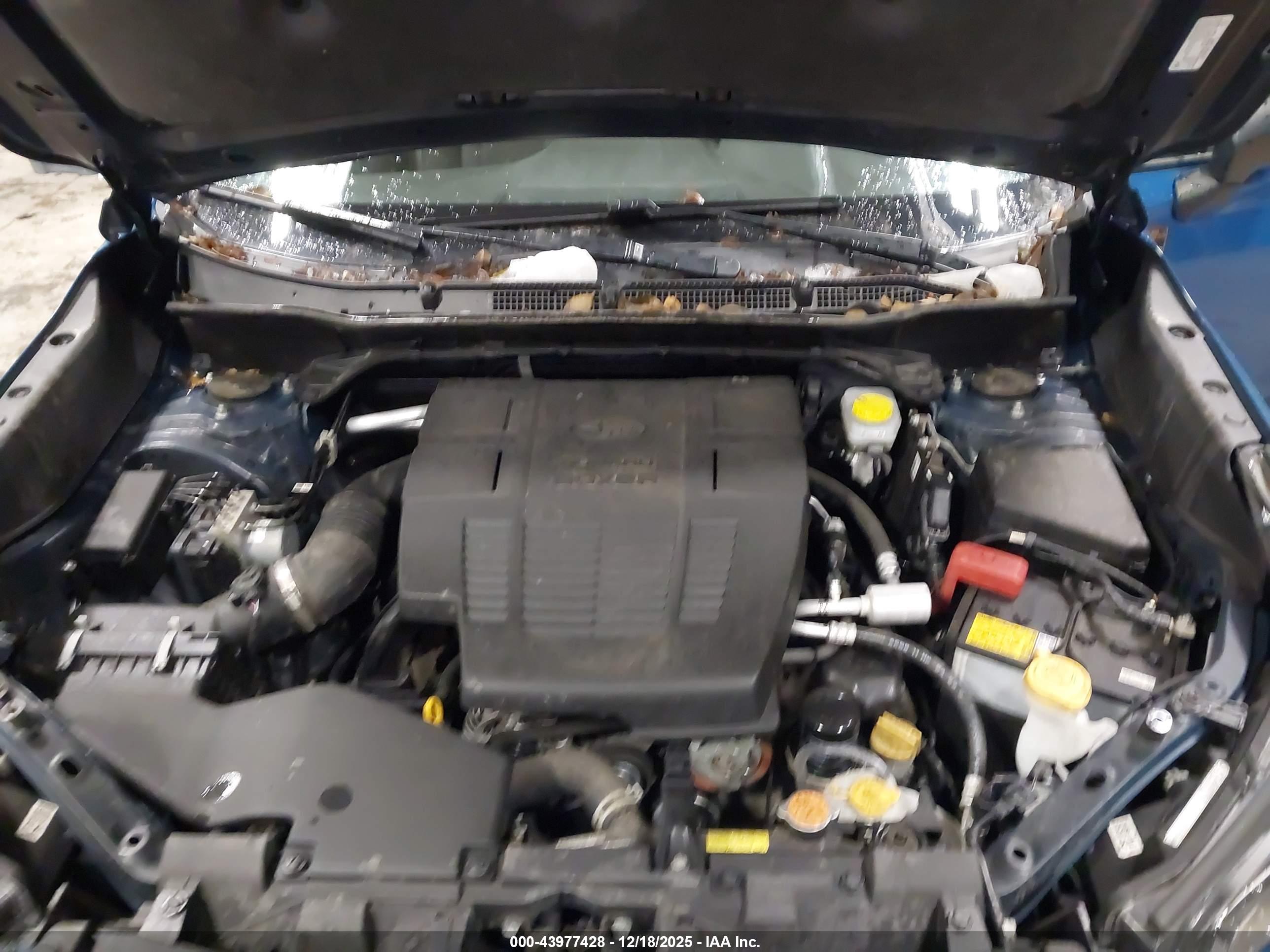 SUBARU FORESTER image 10