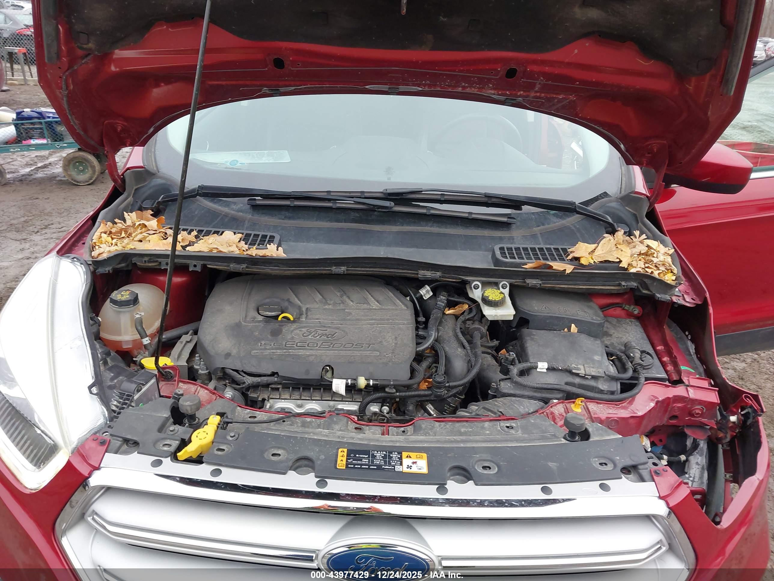 FORD ESCAPE image 10