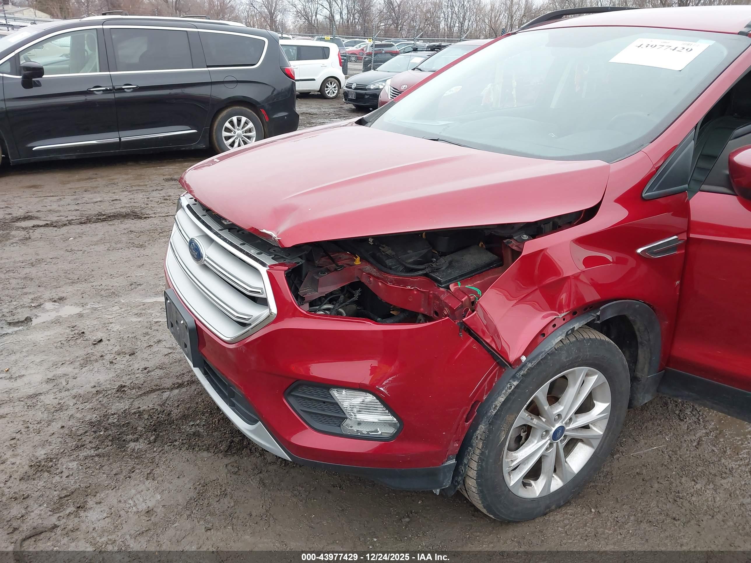 FORD ESCAPE image 6