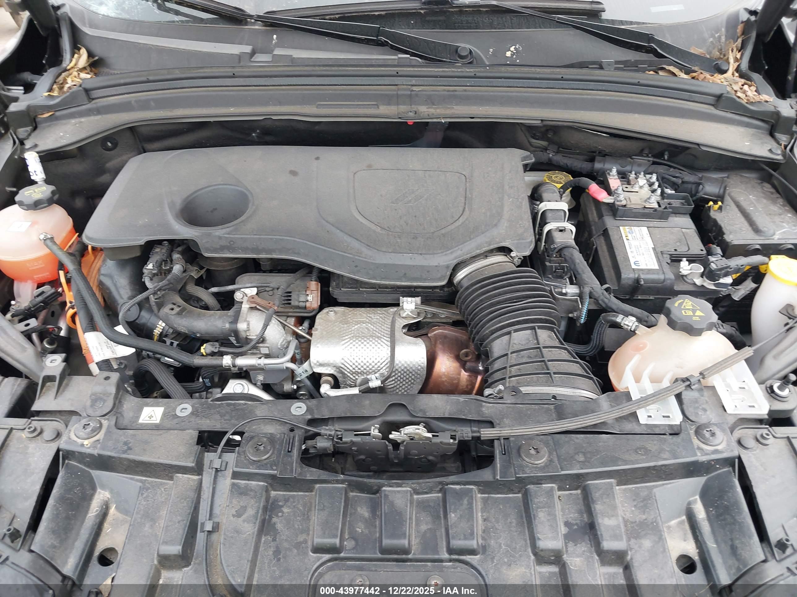 DODGE HORNET image 10
