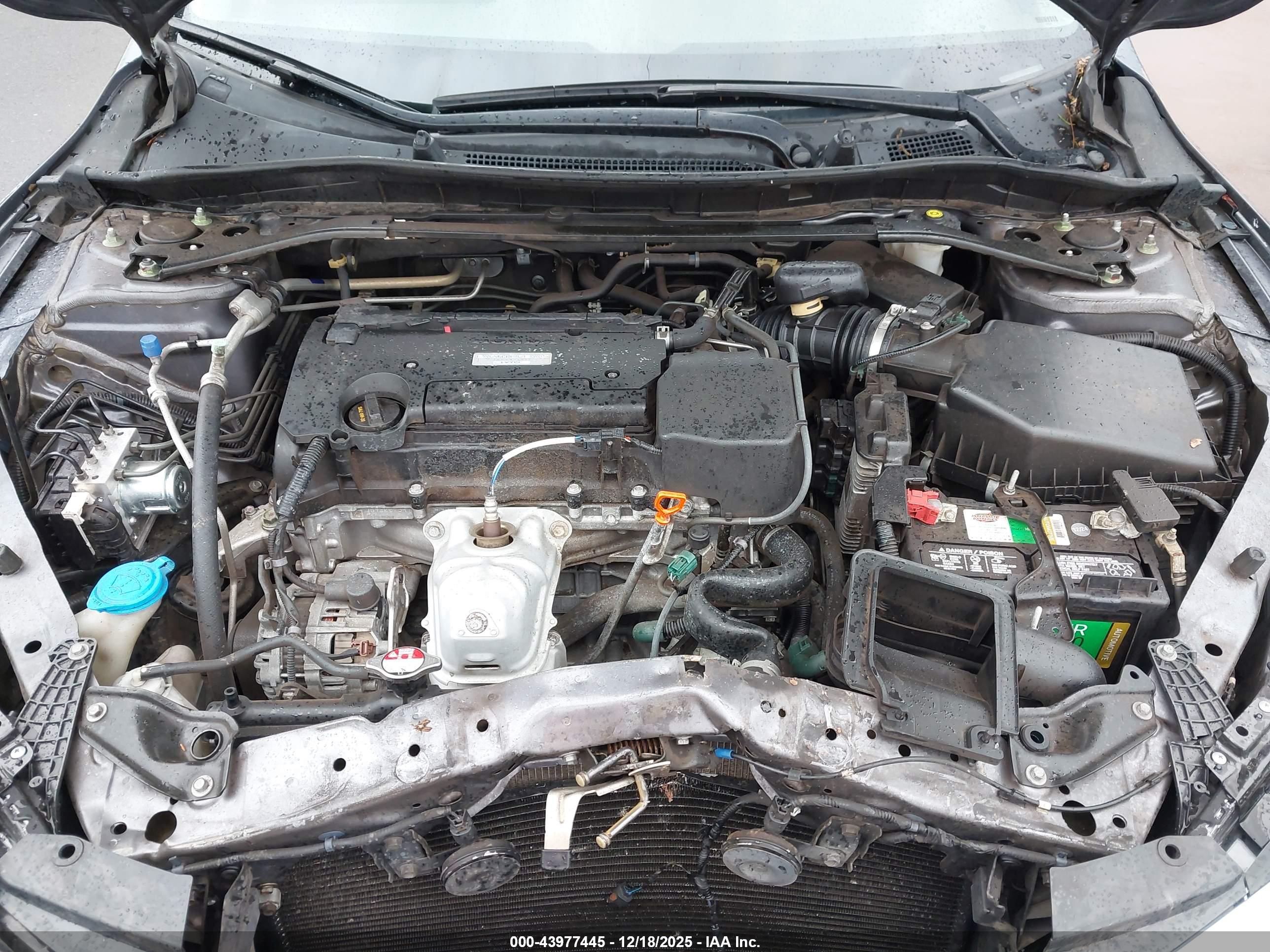 HONDA ACCORD image 10