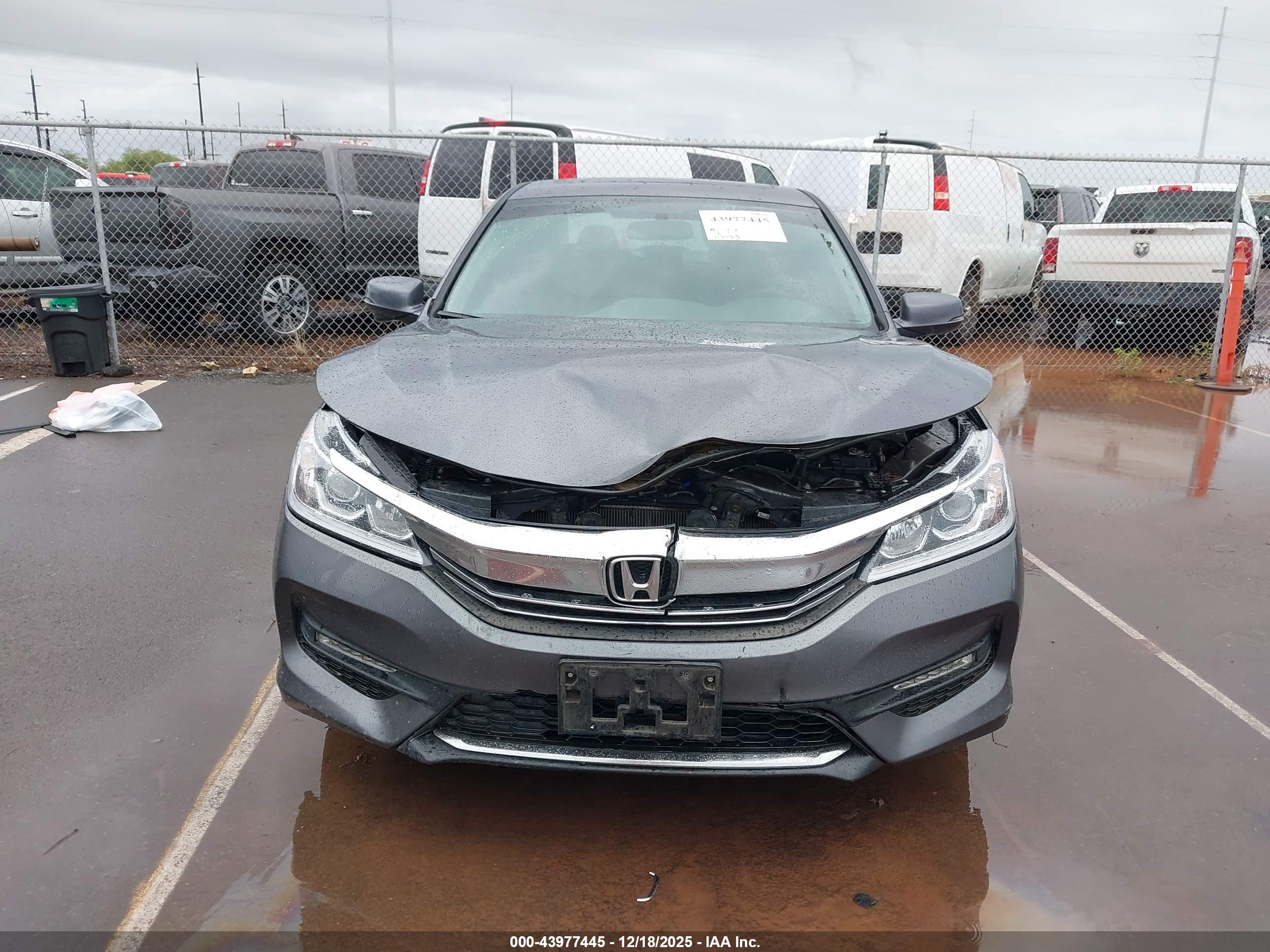 HONDA ACCORD image 6