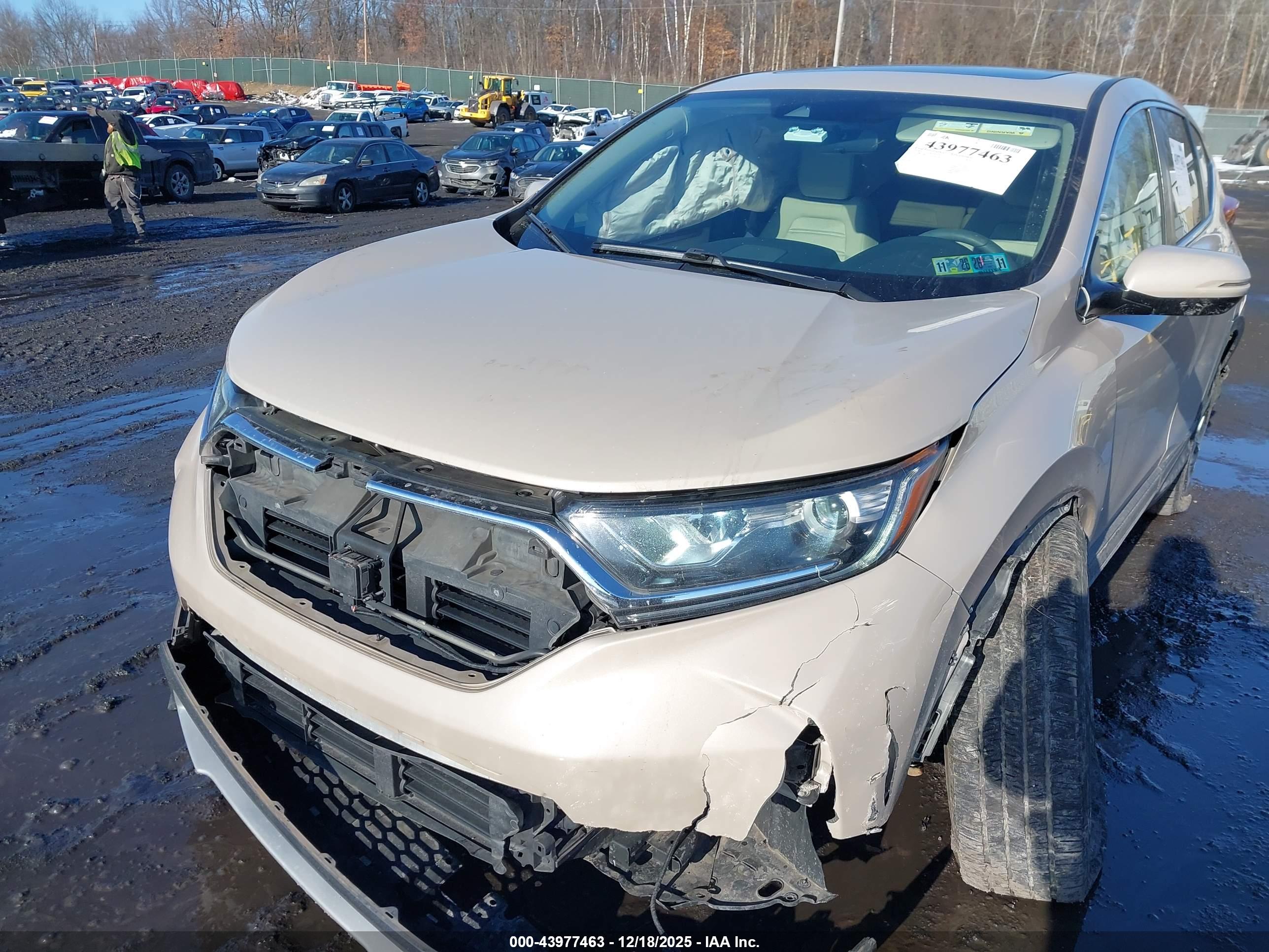 HONDA CR-V image 6