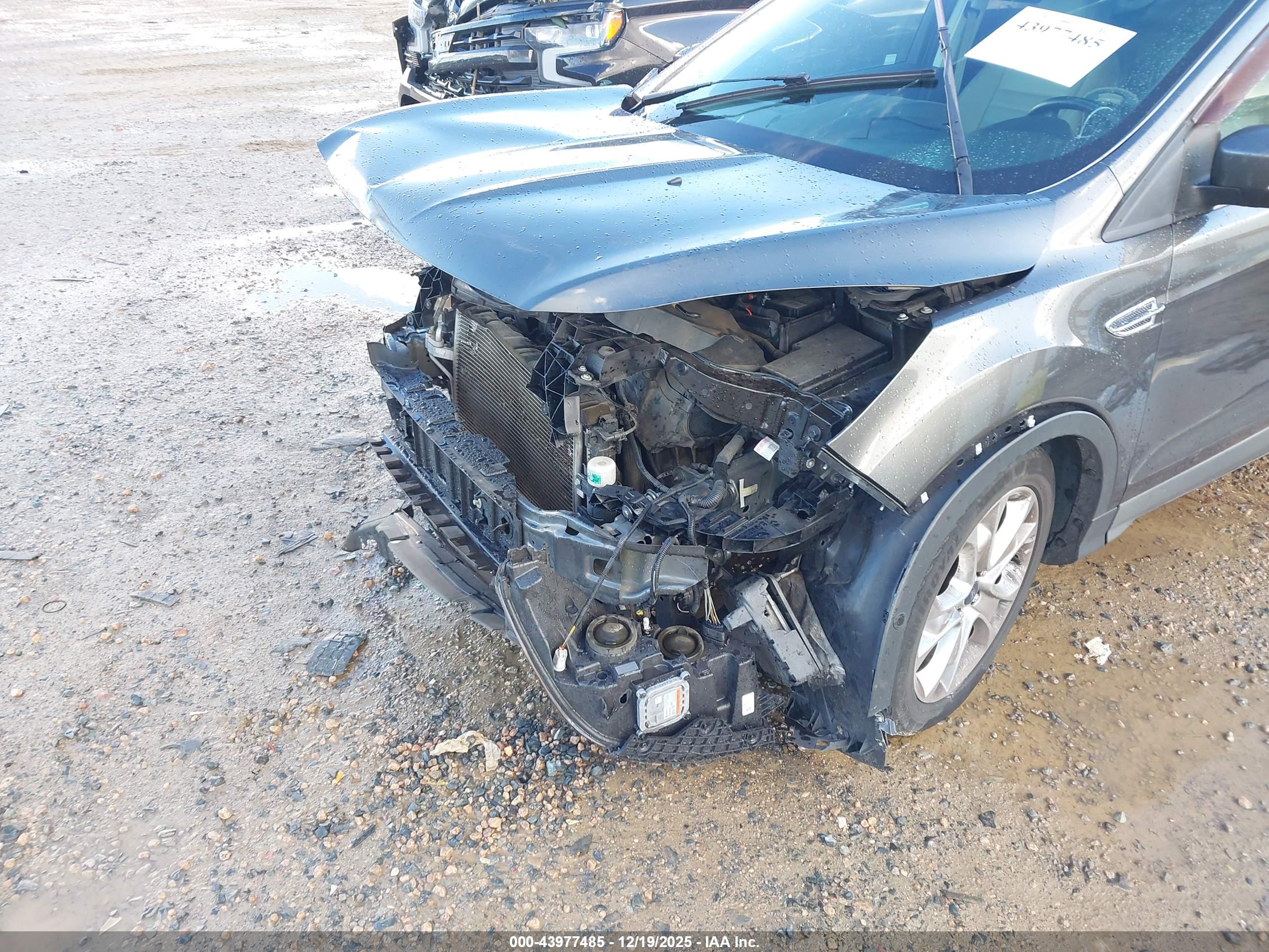 FORD ESCAPE image 6