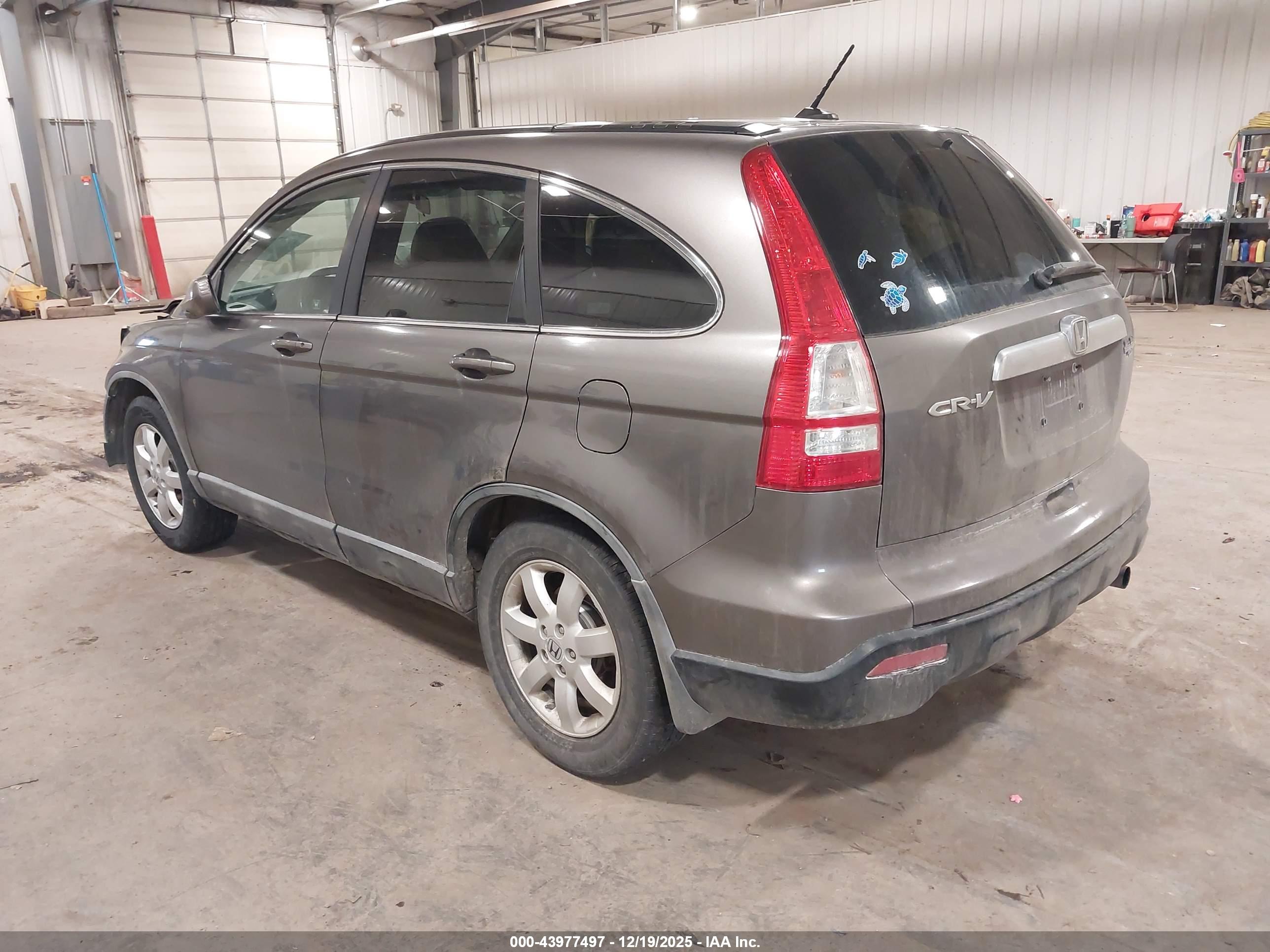 HONDA CR-V image 3