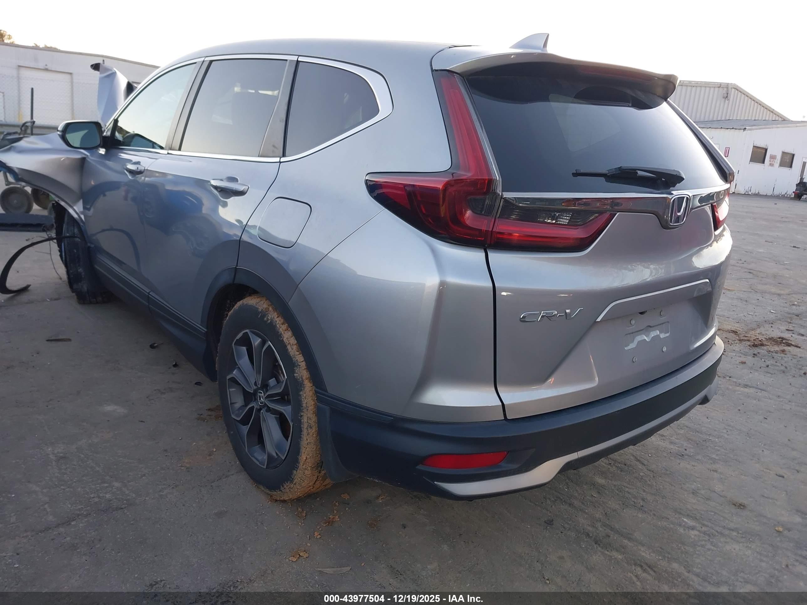 HONDA CR-V image 3