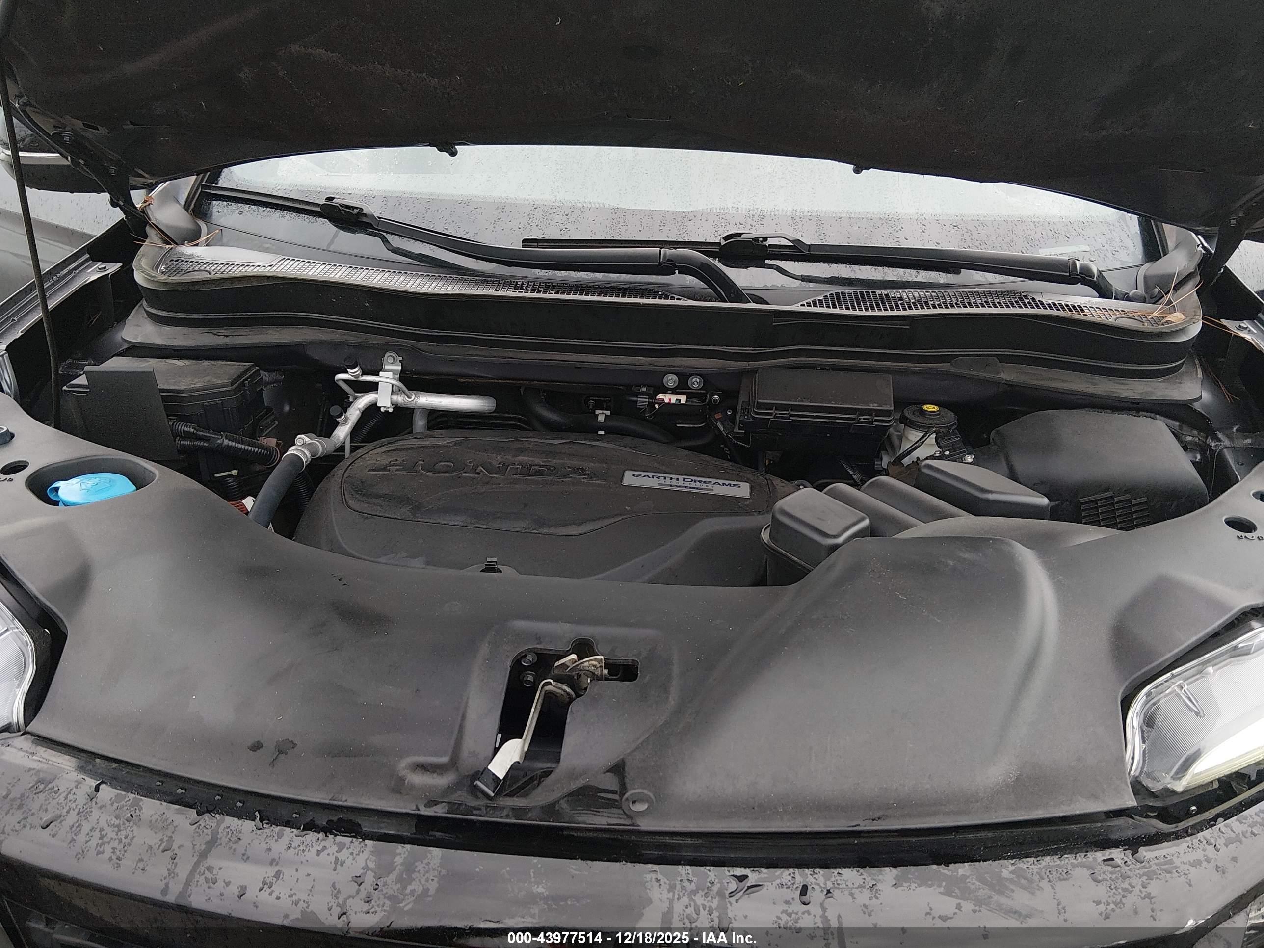 HONDA PASSPORT image 10