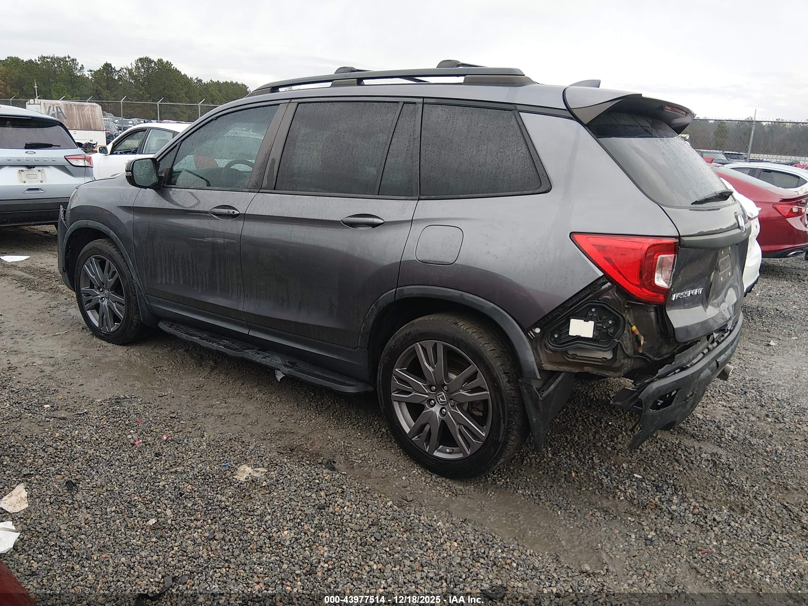 HONDA PASSPORT image 3
