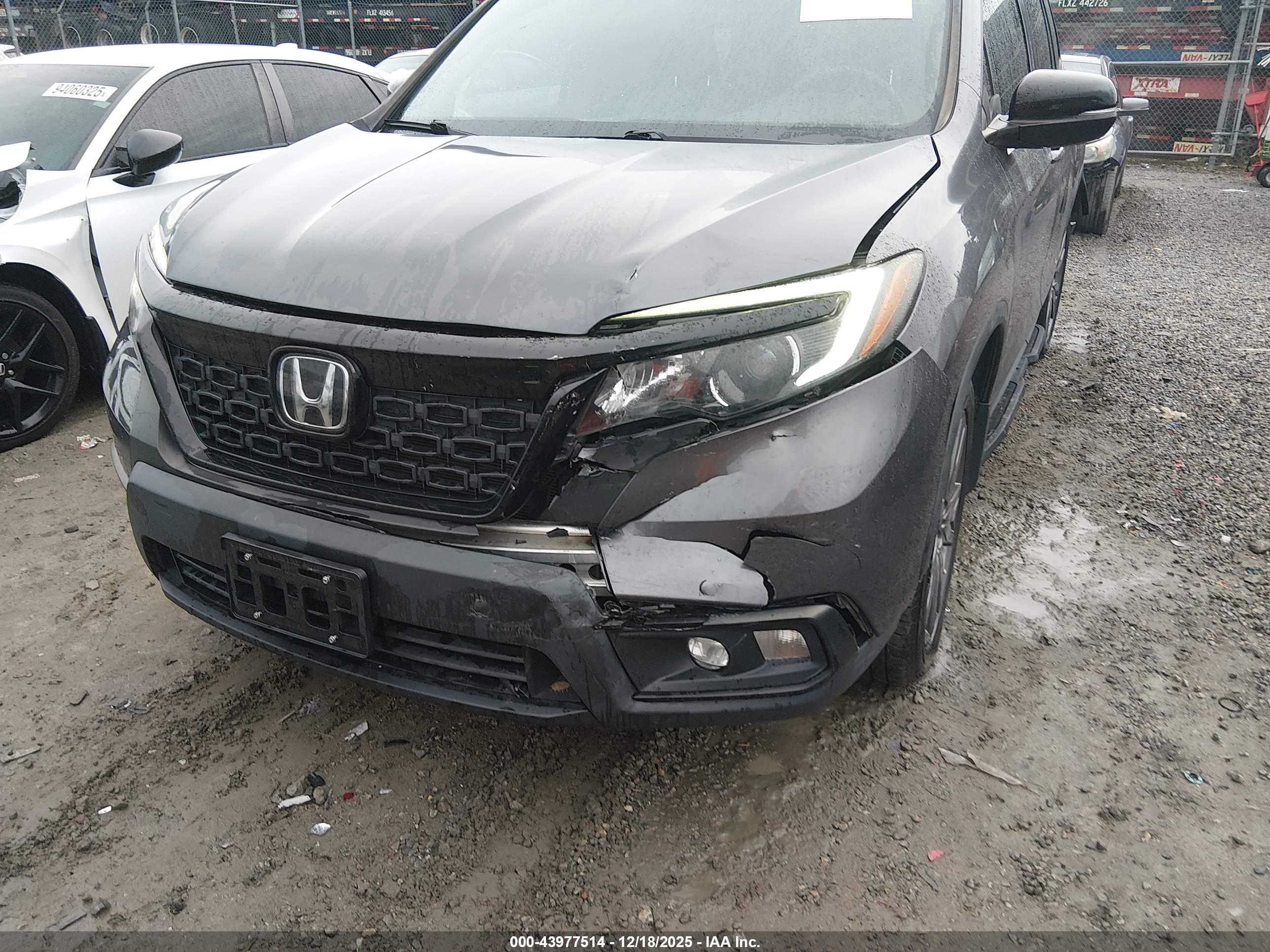 HONDA PASSPORT image 6