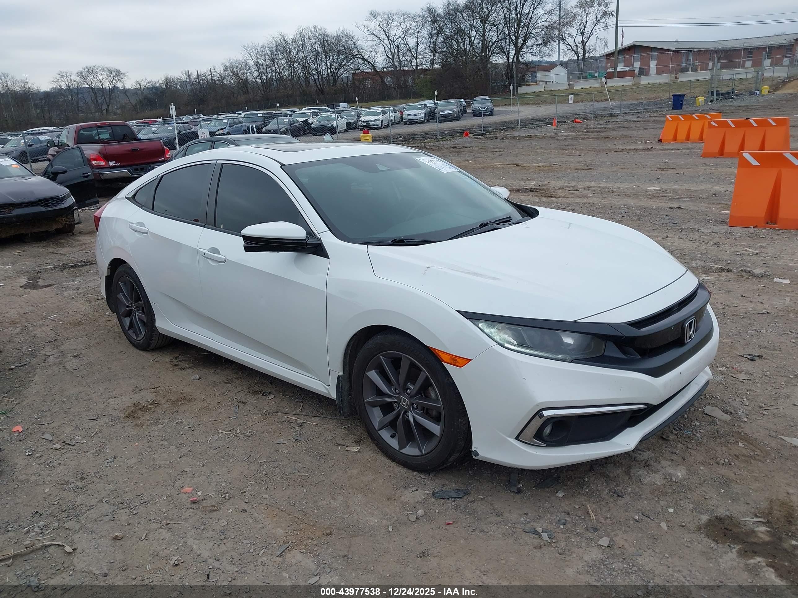 HONDA CIVIC image 6