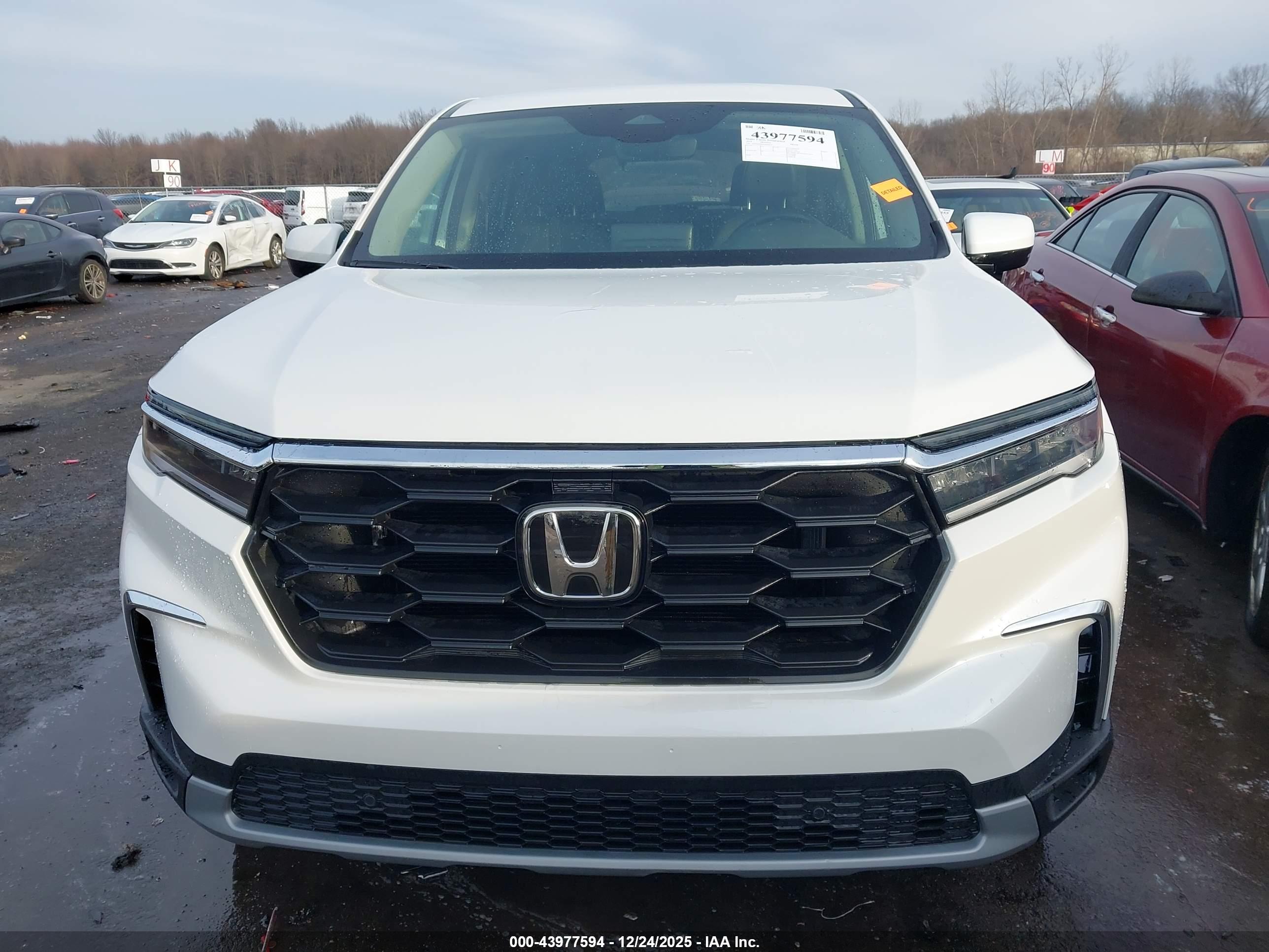 HONDA PILOT image 6