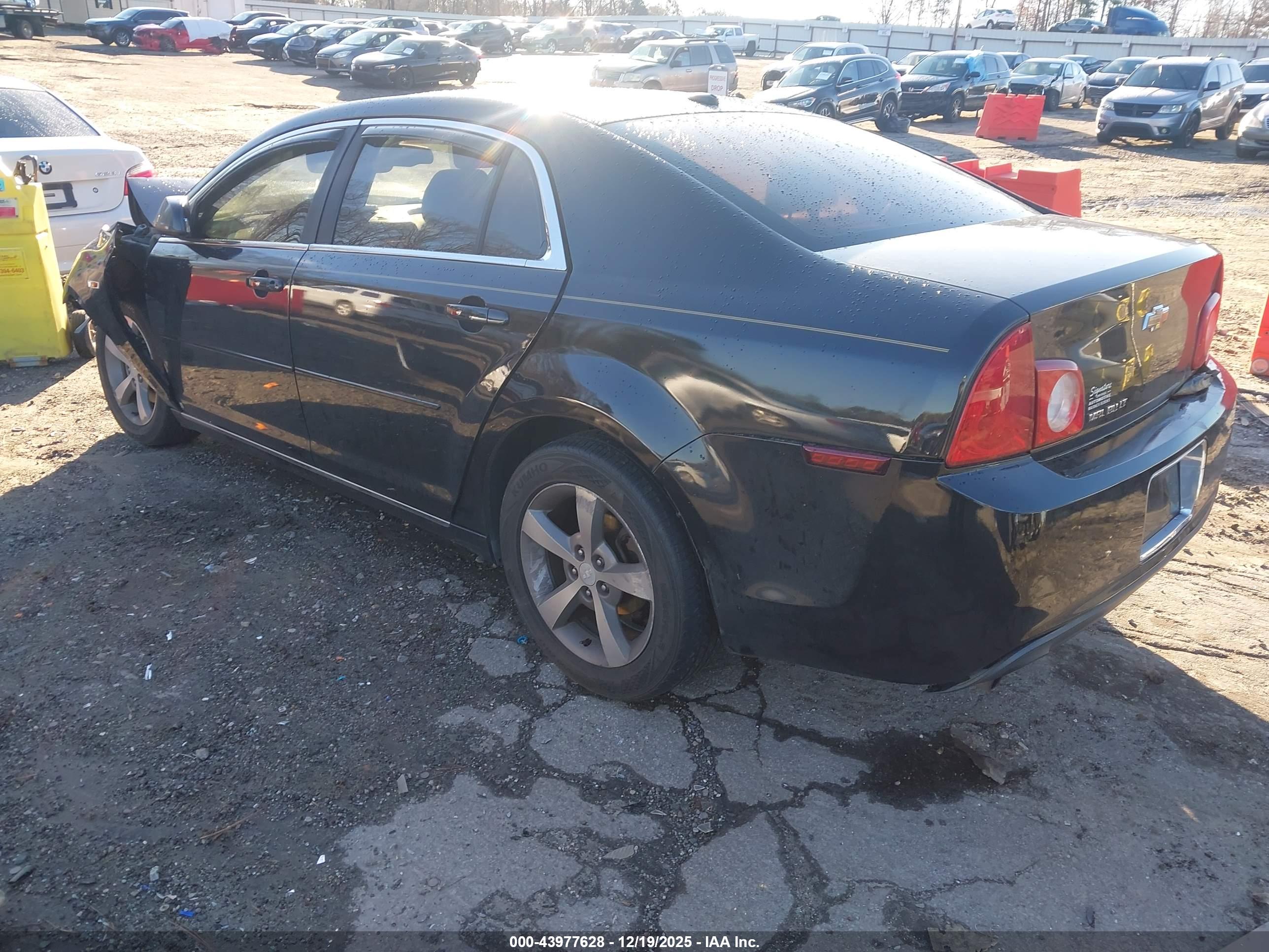 CHEVROLET MALIBU image 3