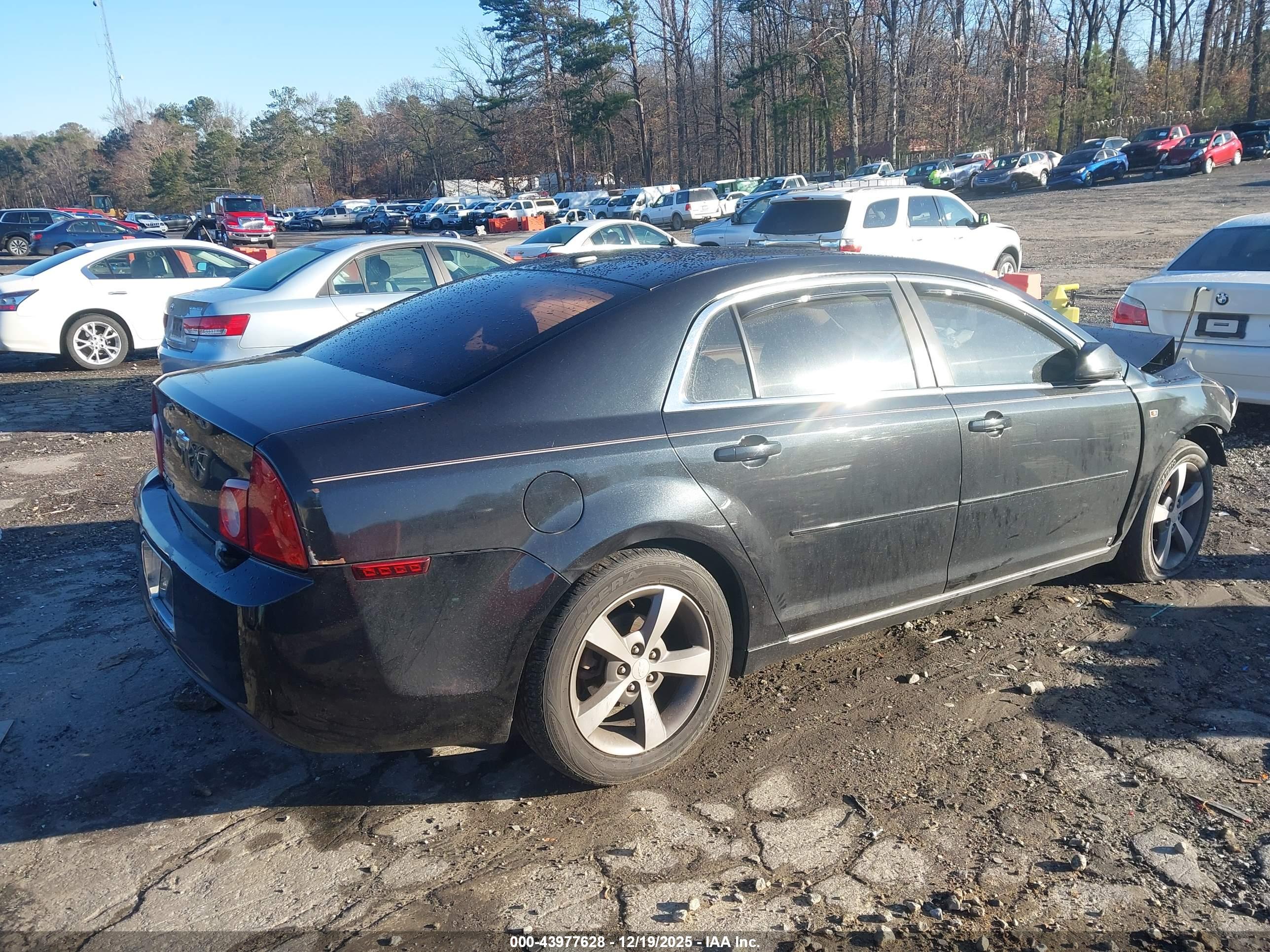 CHEVROLET MALIBU image 4