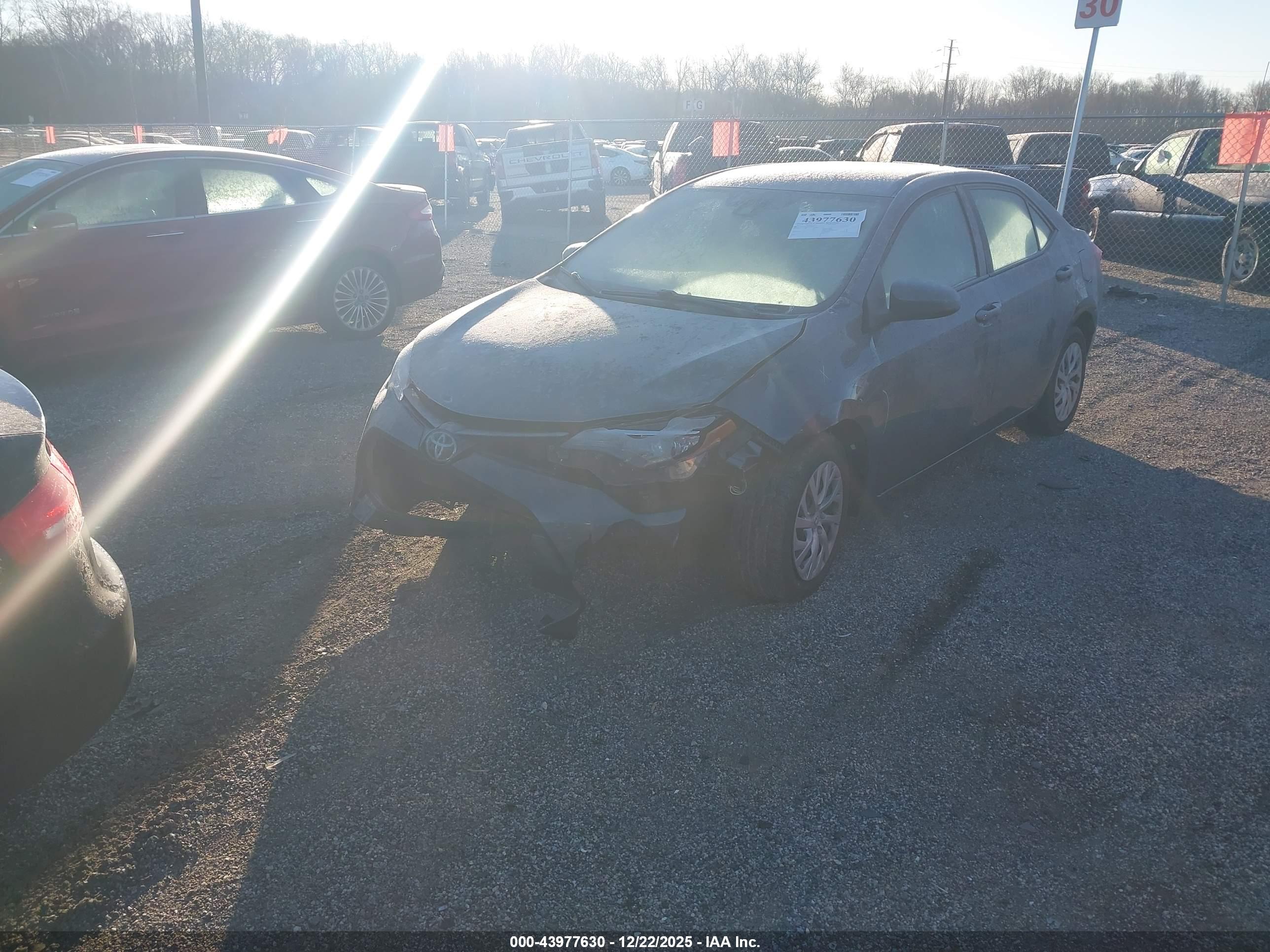 TOYOTA COROLLA image 2