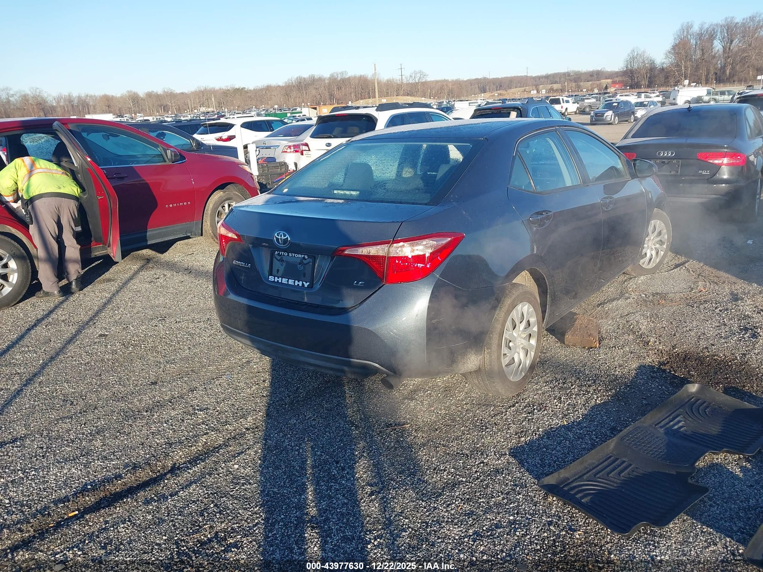 TOYOTA COROLLA image 4