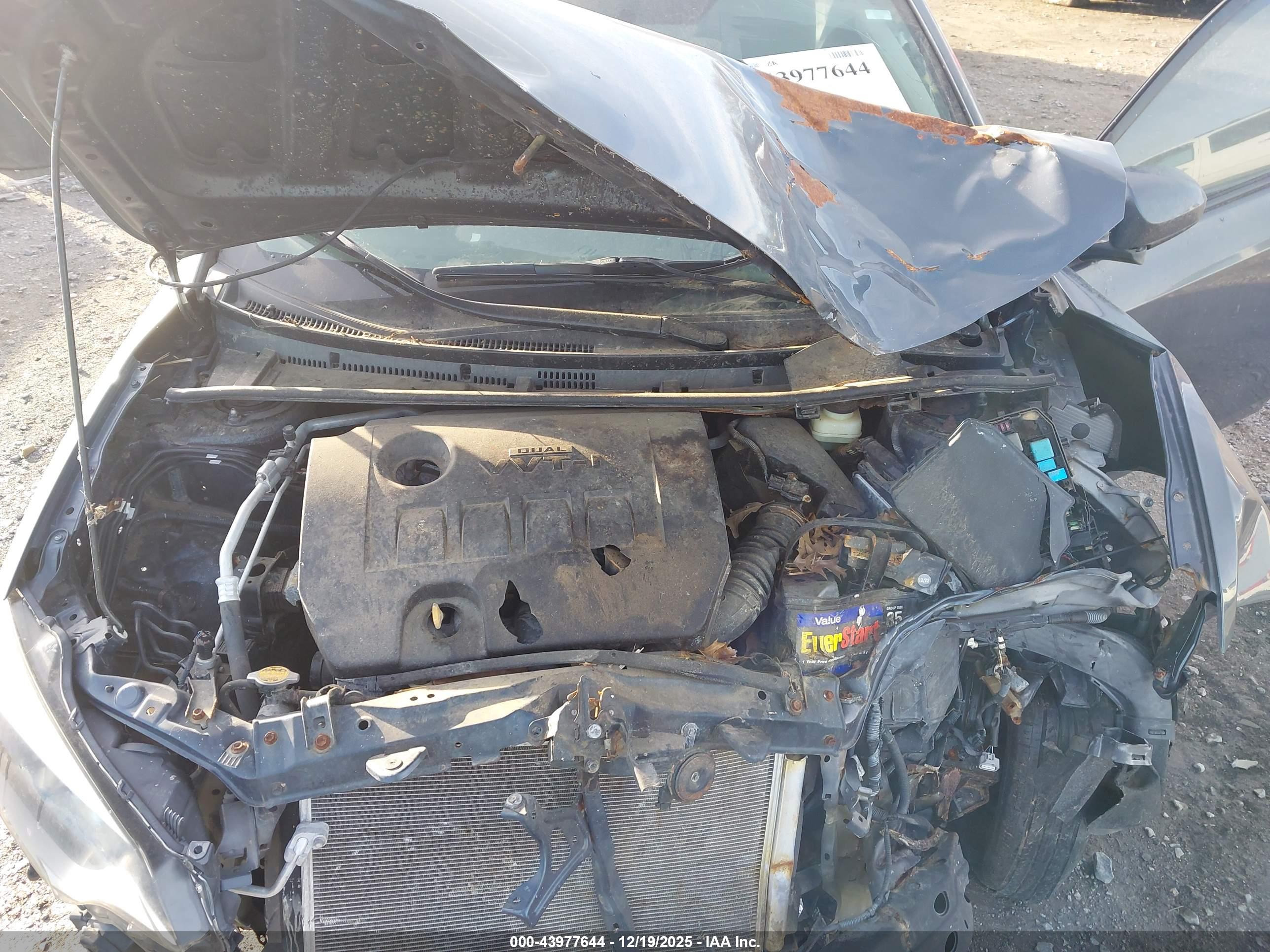 TOYOTA COROLLA image 10