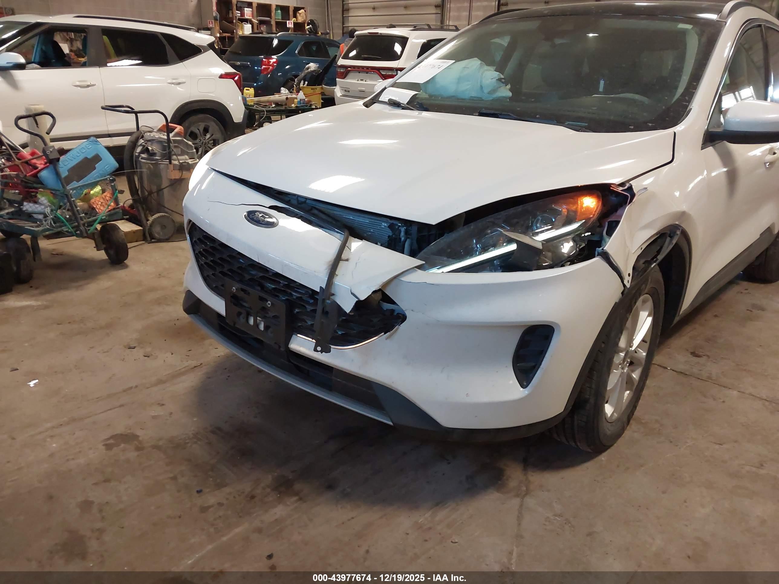 FORD ESCAPE image 6