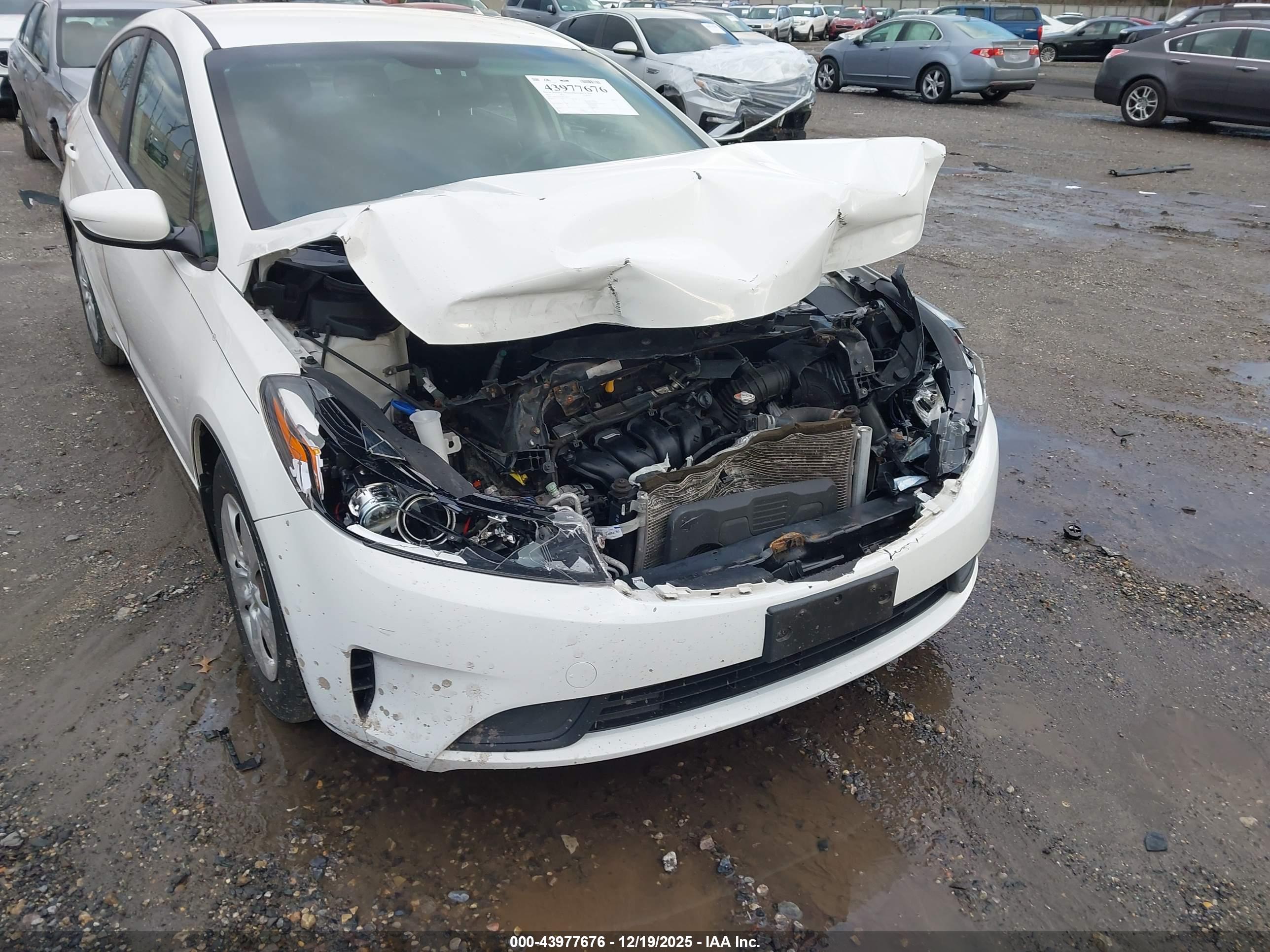 KIA FORTE image 6
