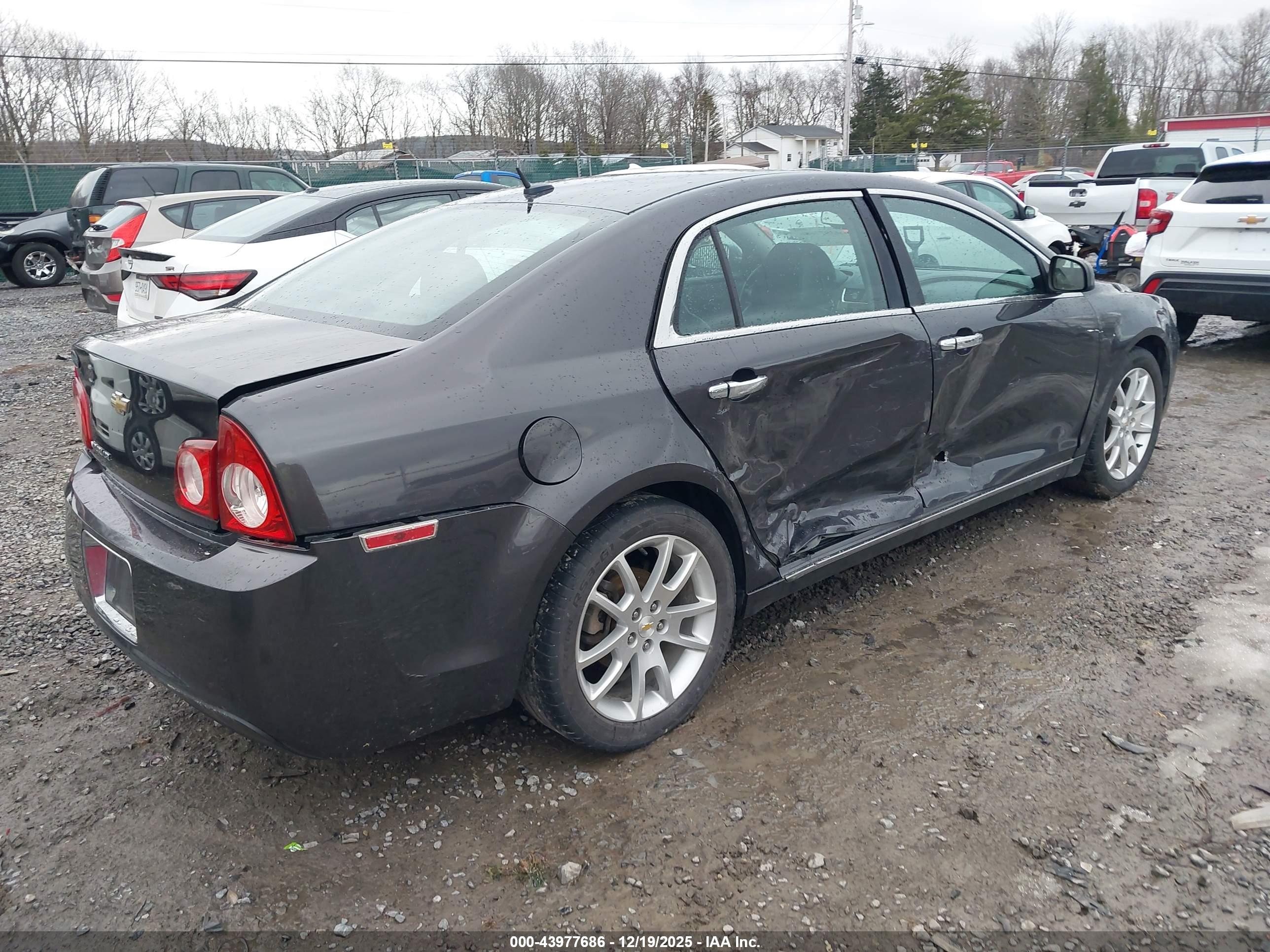 CHEVROLET MALIBU image 4