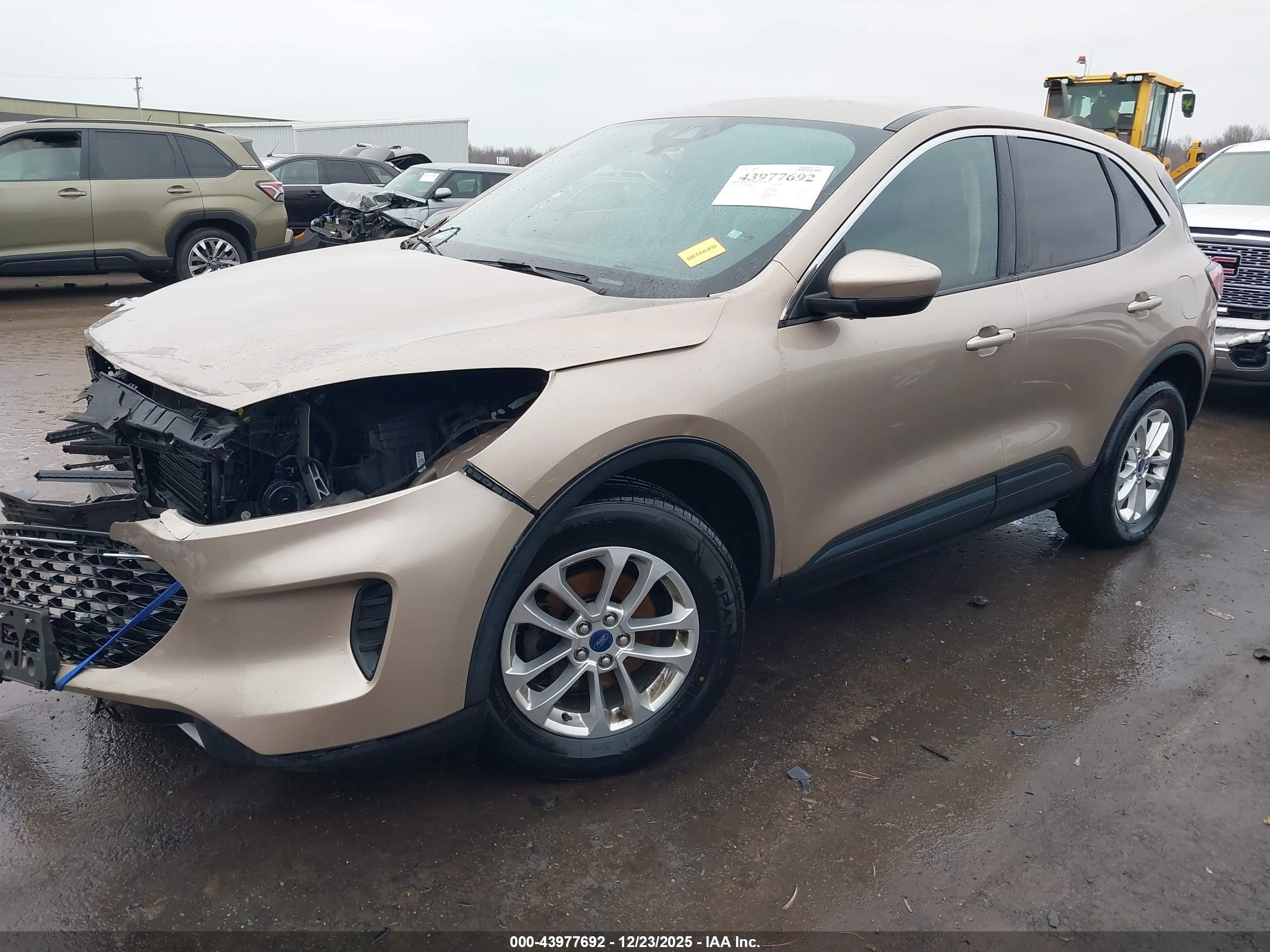 FORD ESCAPE image 2
