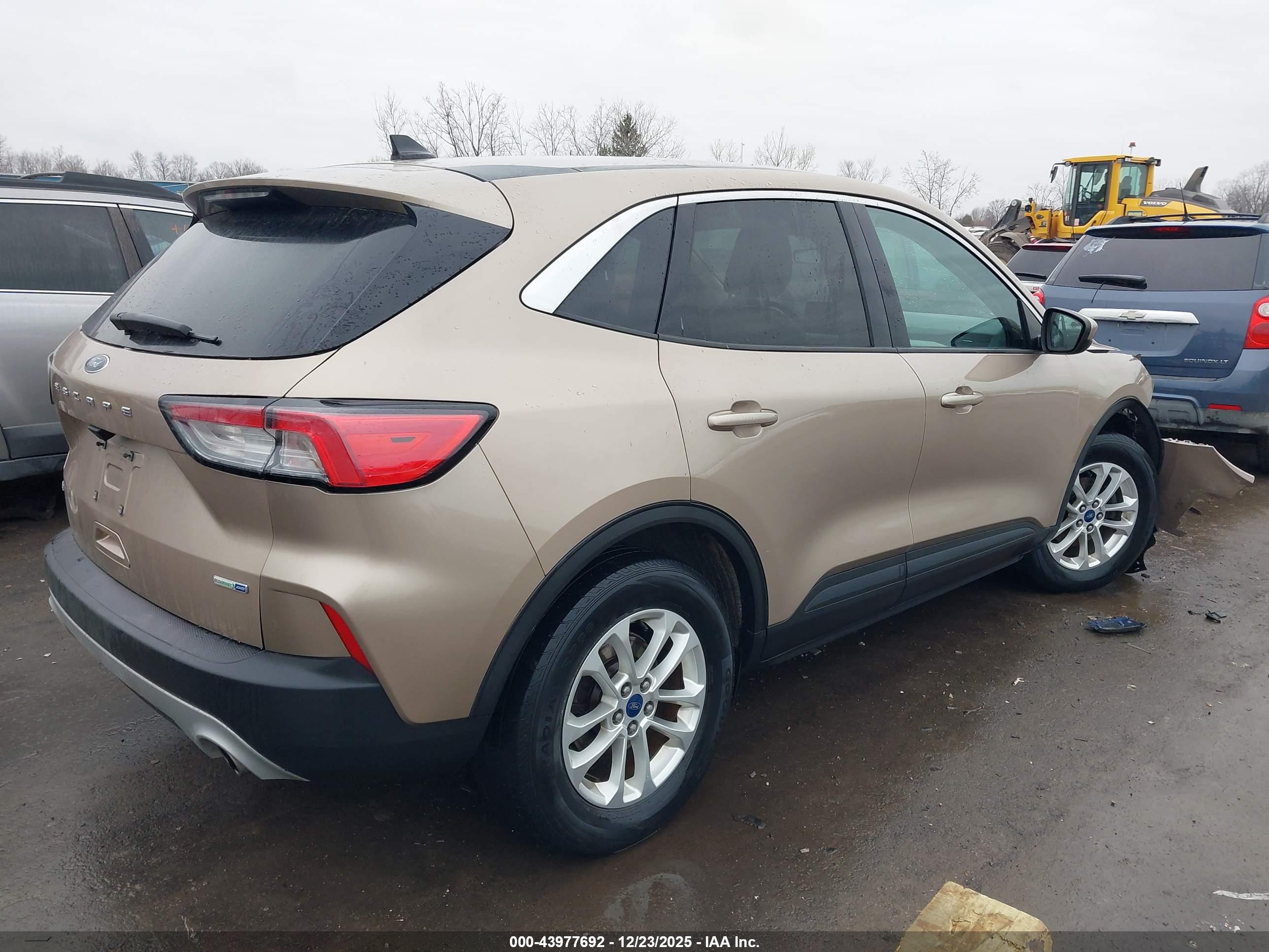 FORD ESCAPE image 4