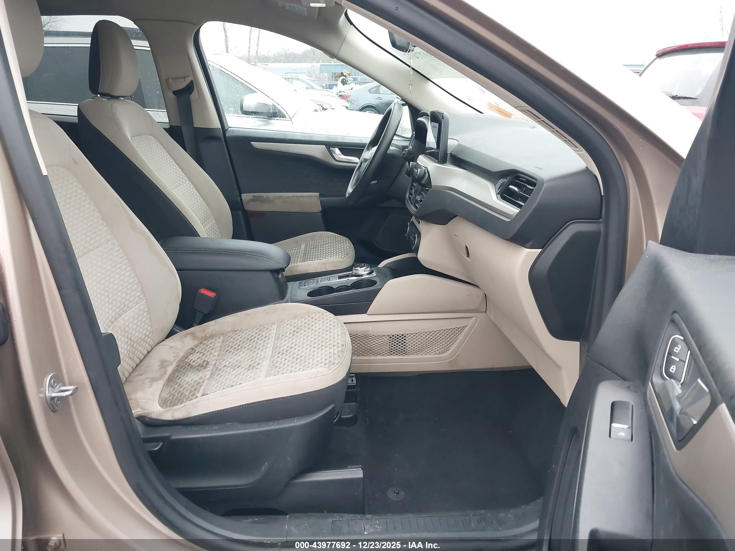 FORD ESCAPE image 5