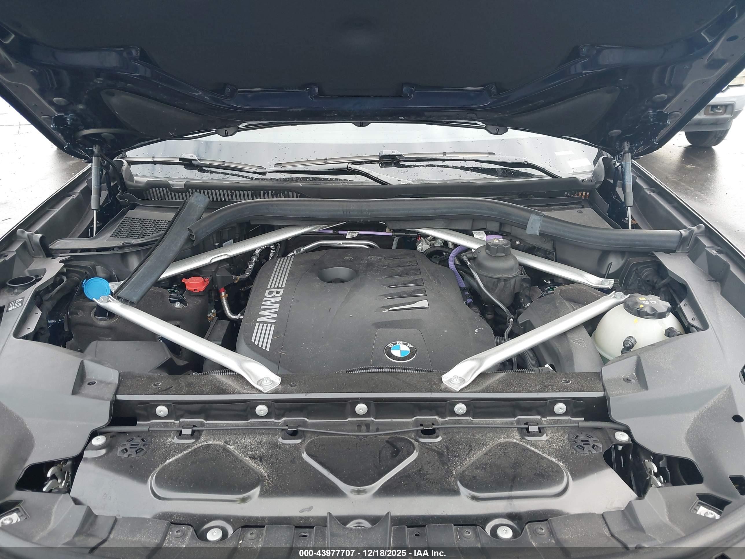 BMW X7 image 10