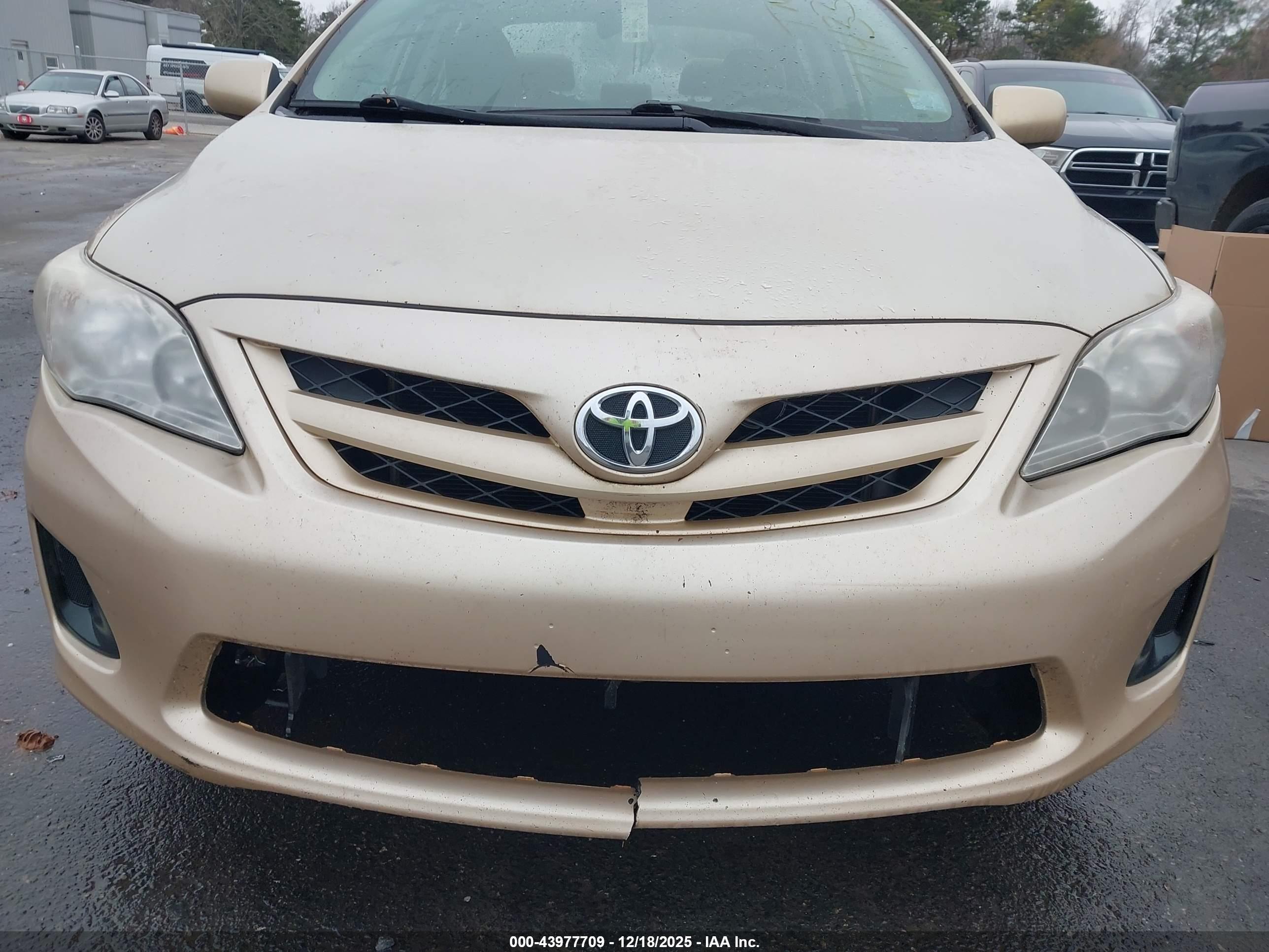 TOYOTA COROLLA image 6