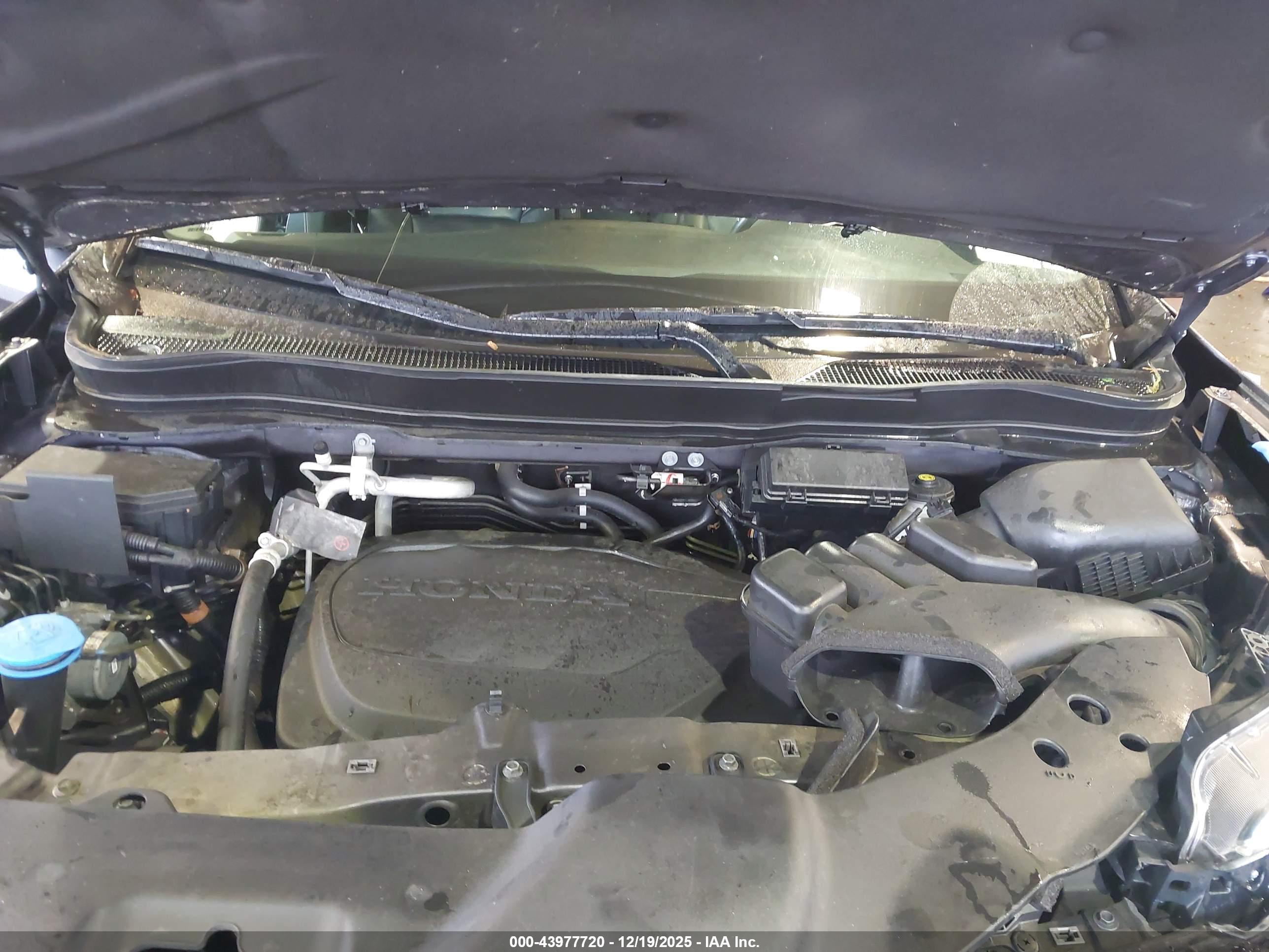 HONDA PILOT image 10