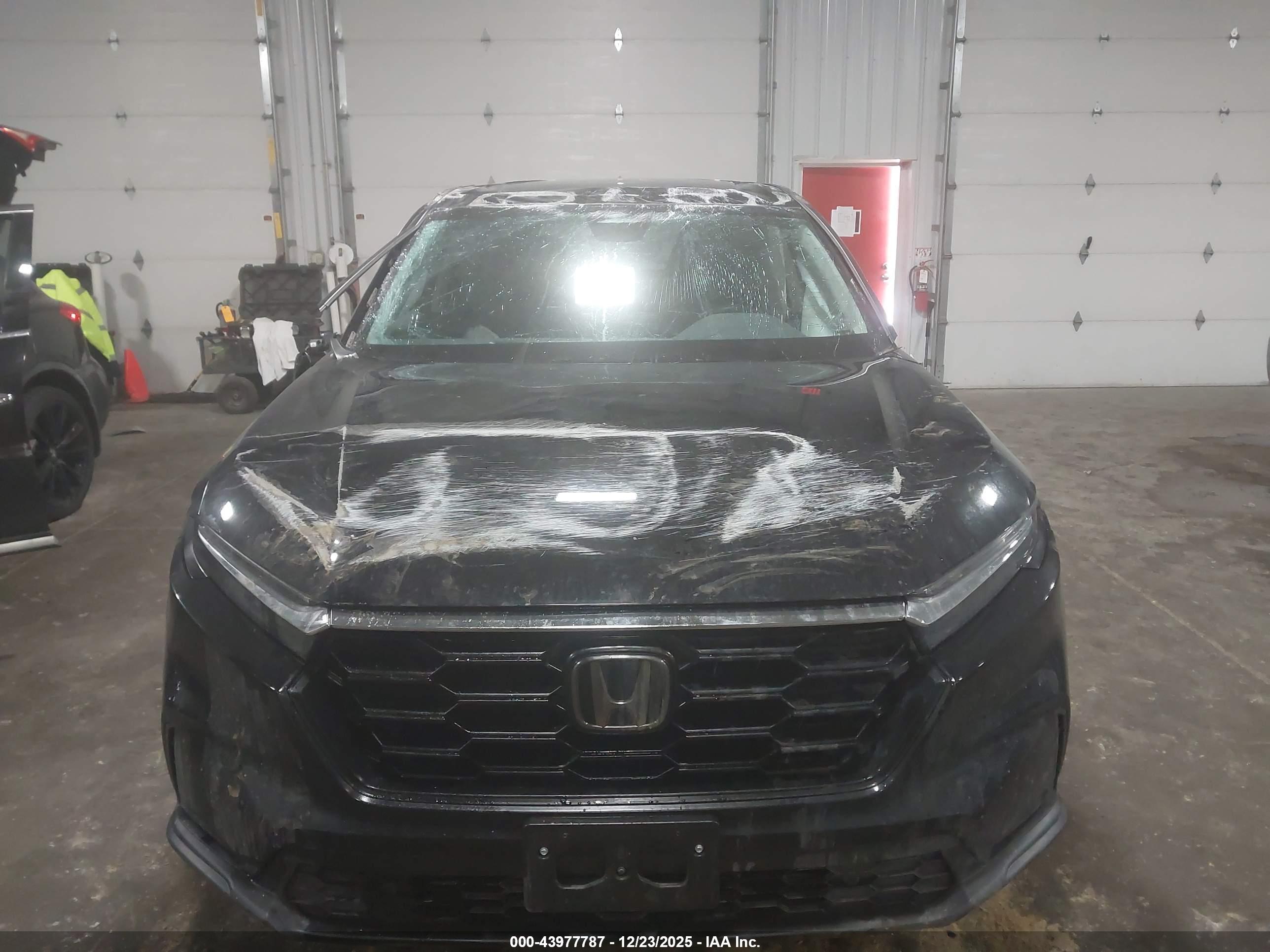 HONDA CR-V image 6
