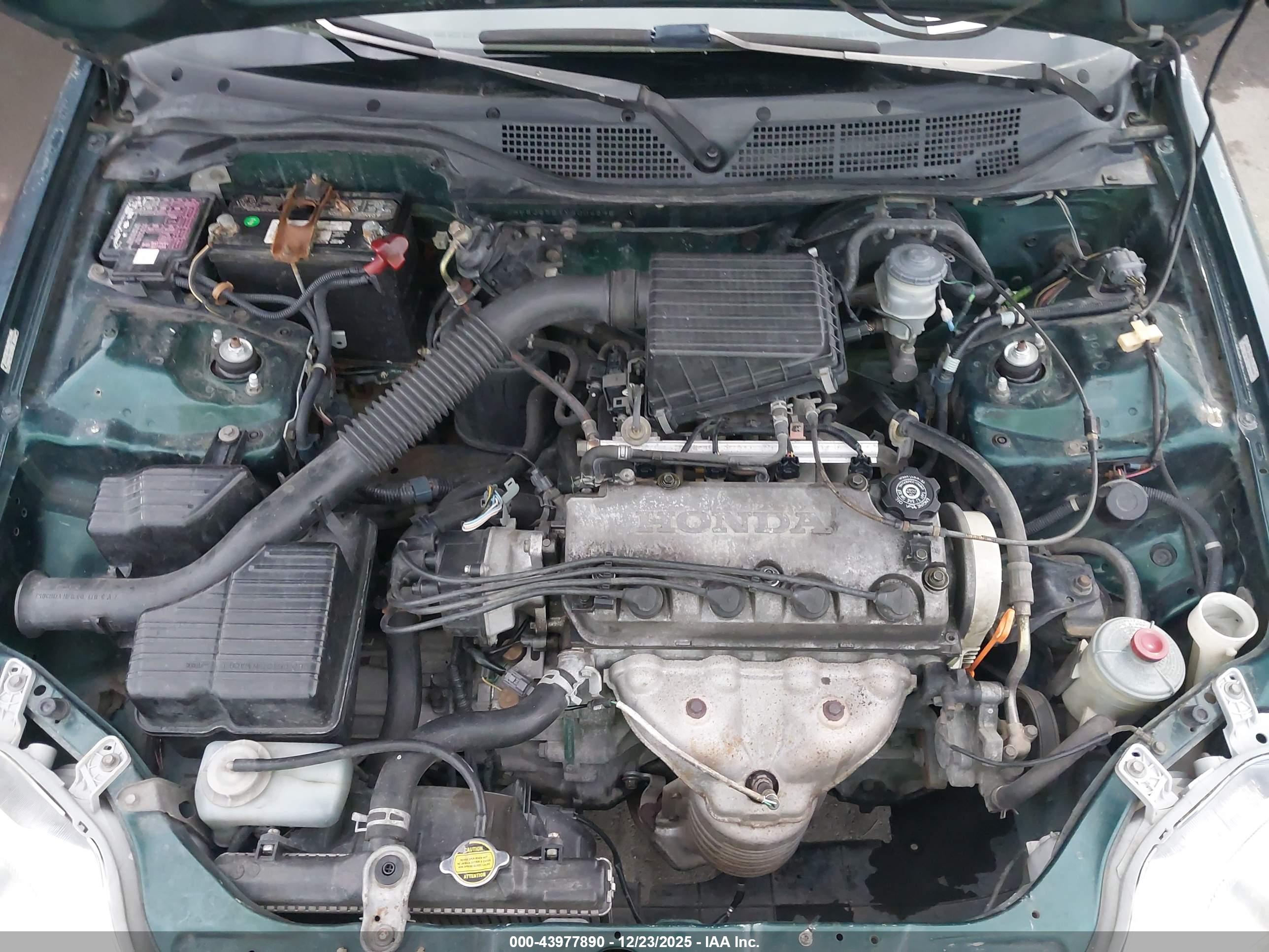 HONDA CIVIC image 10