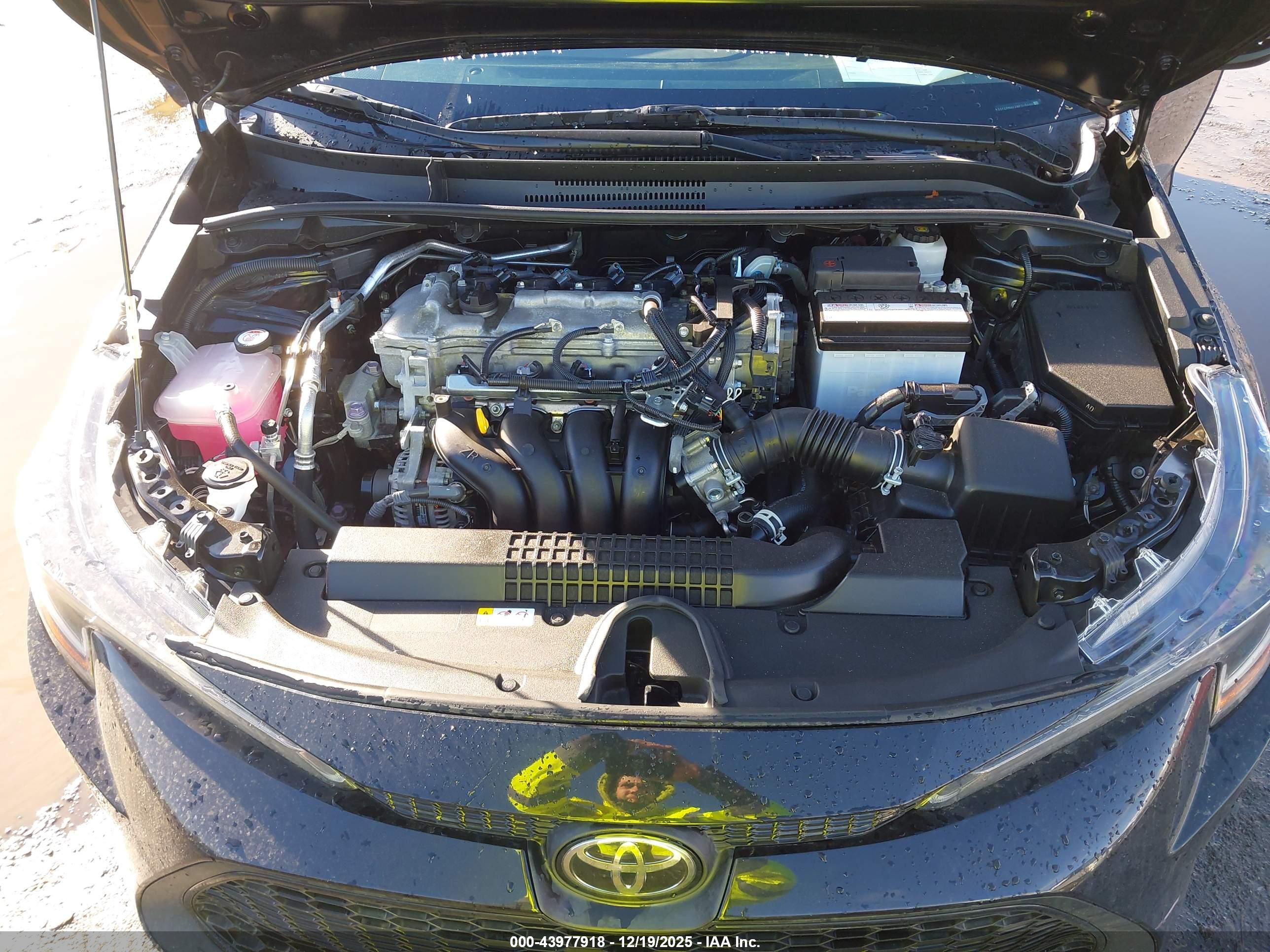 TOYOTA COROLLA image 10