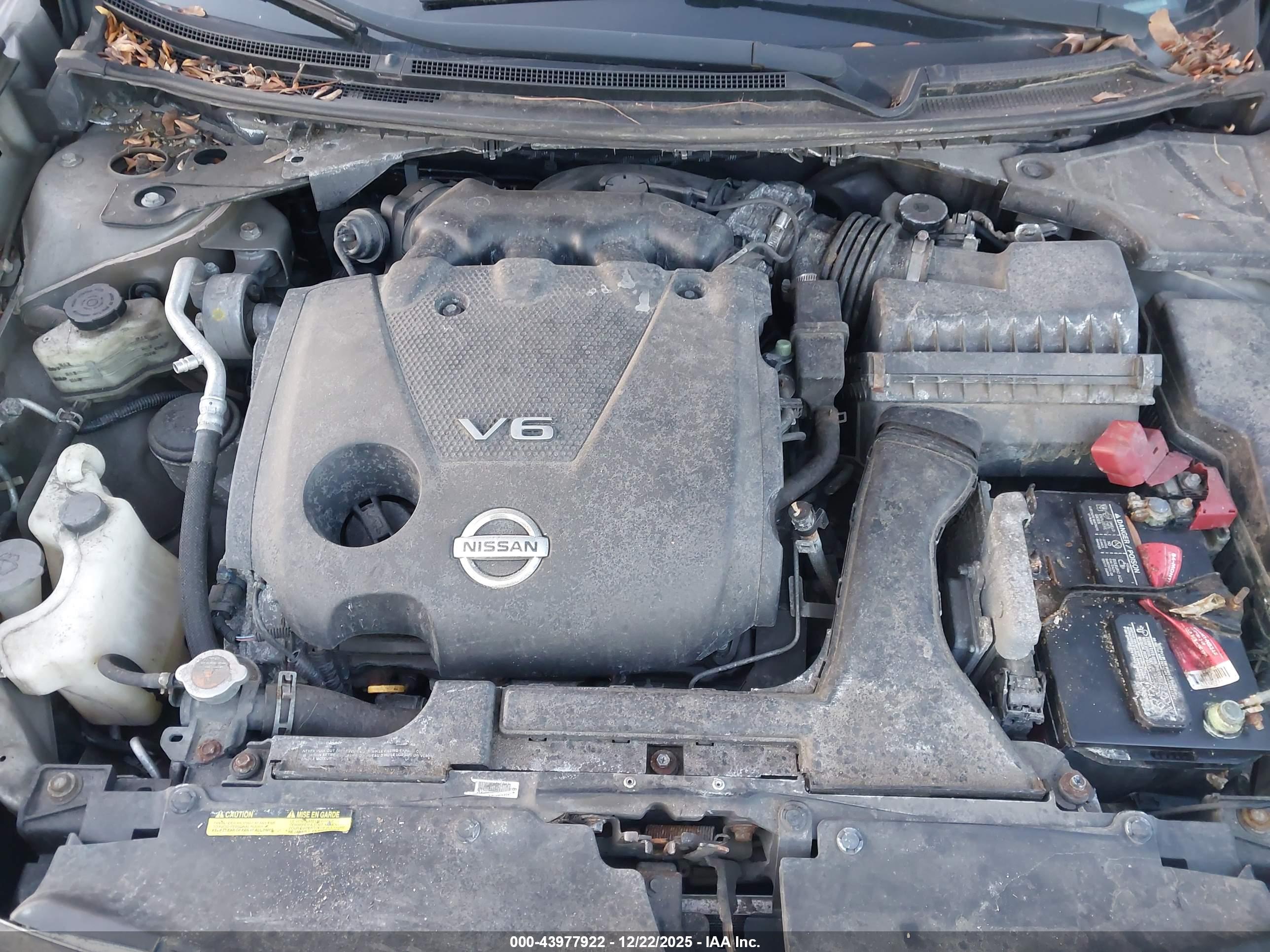 NISSAN MAXIMA image 10