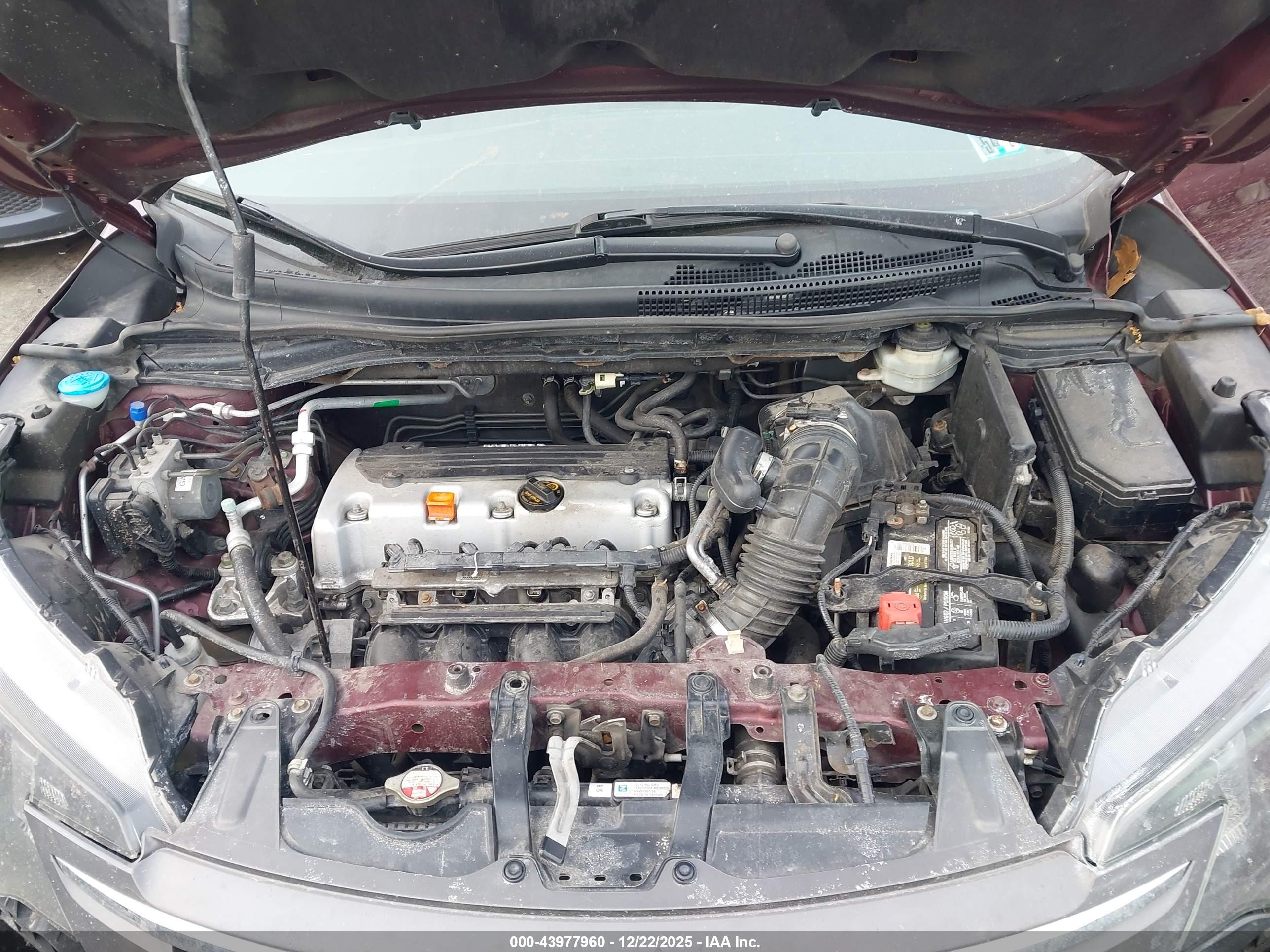 HONDA CR-V image 10