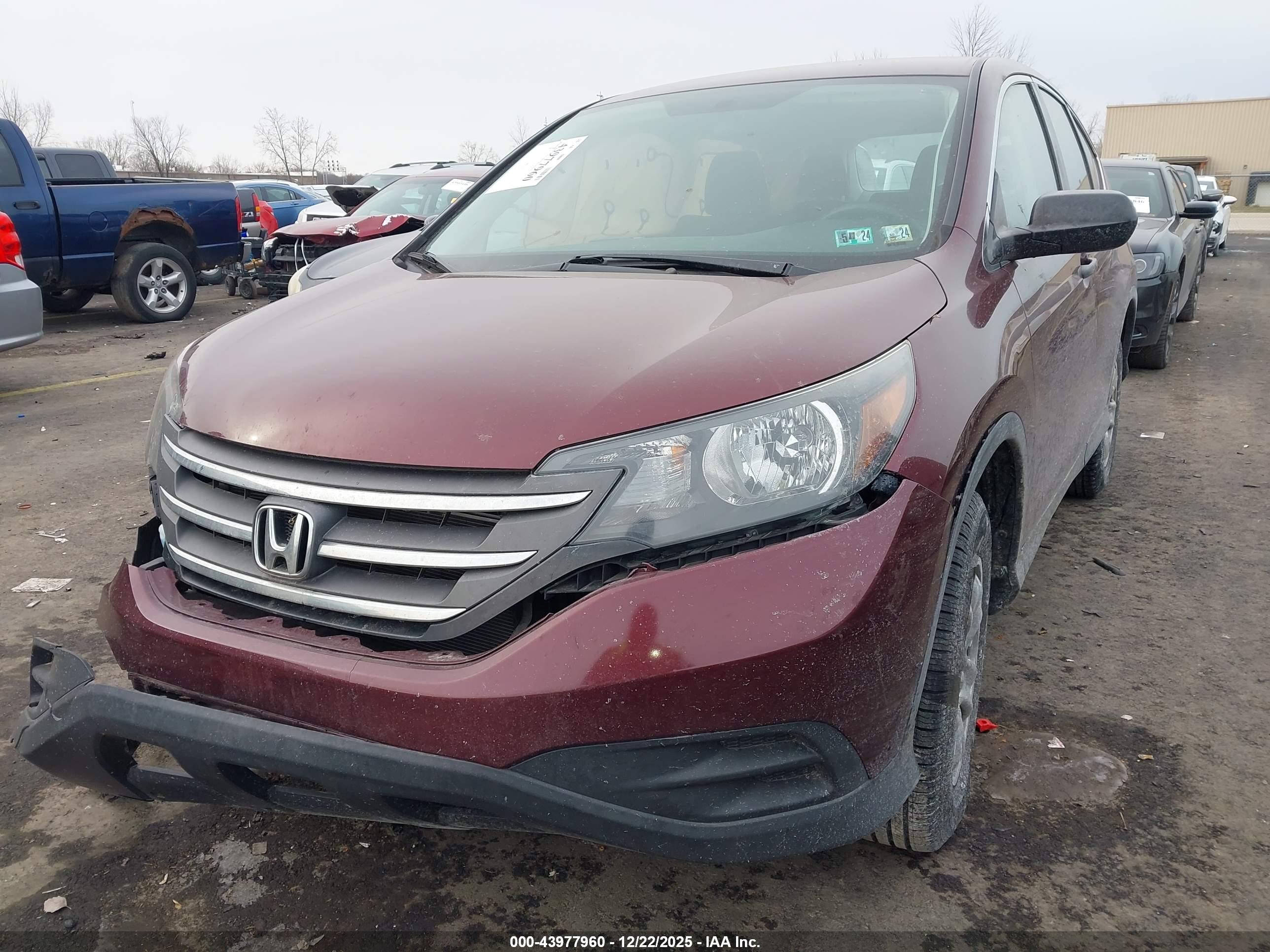 HONDA CR-V image 2