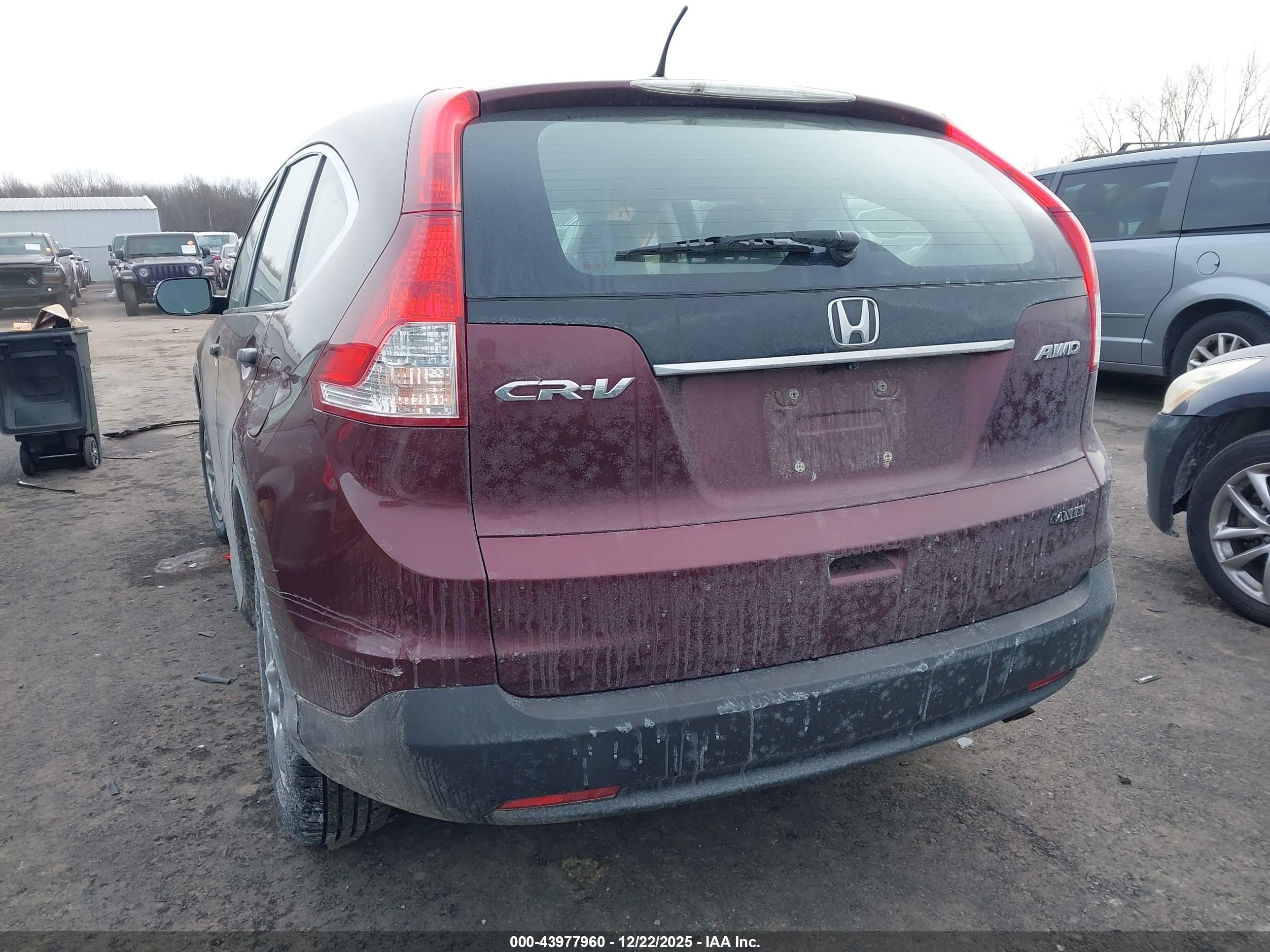 HONDA CR-V image 3