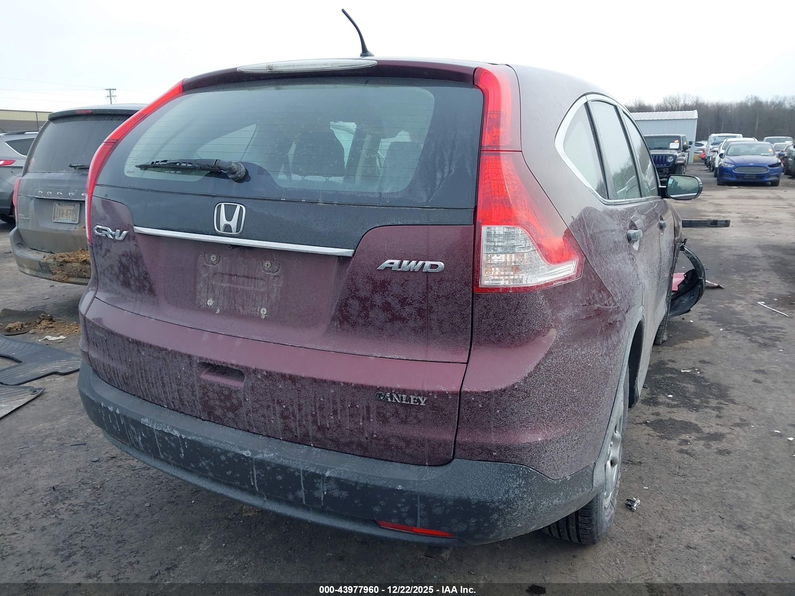 HONDA CR-V image 4