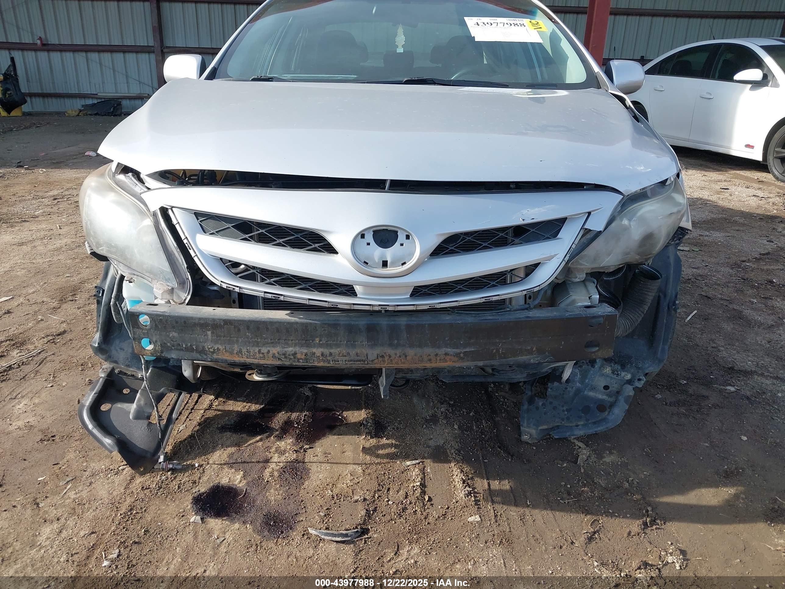 TOYOTA COROLLA image 6
