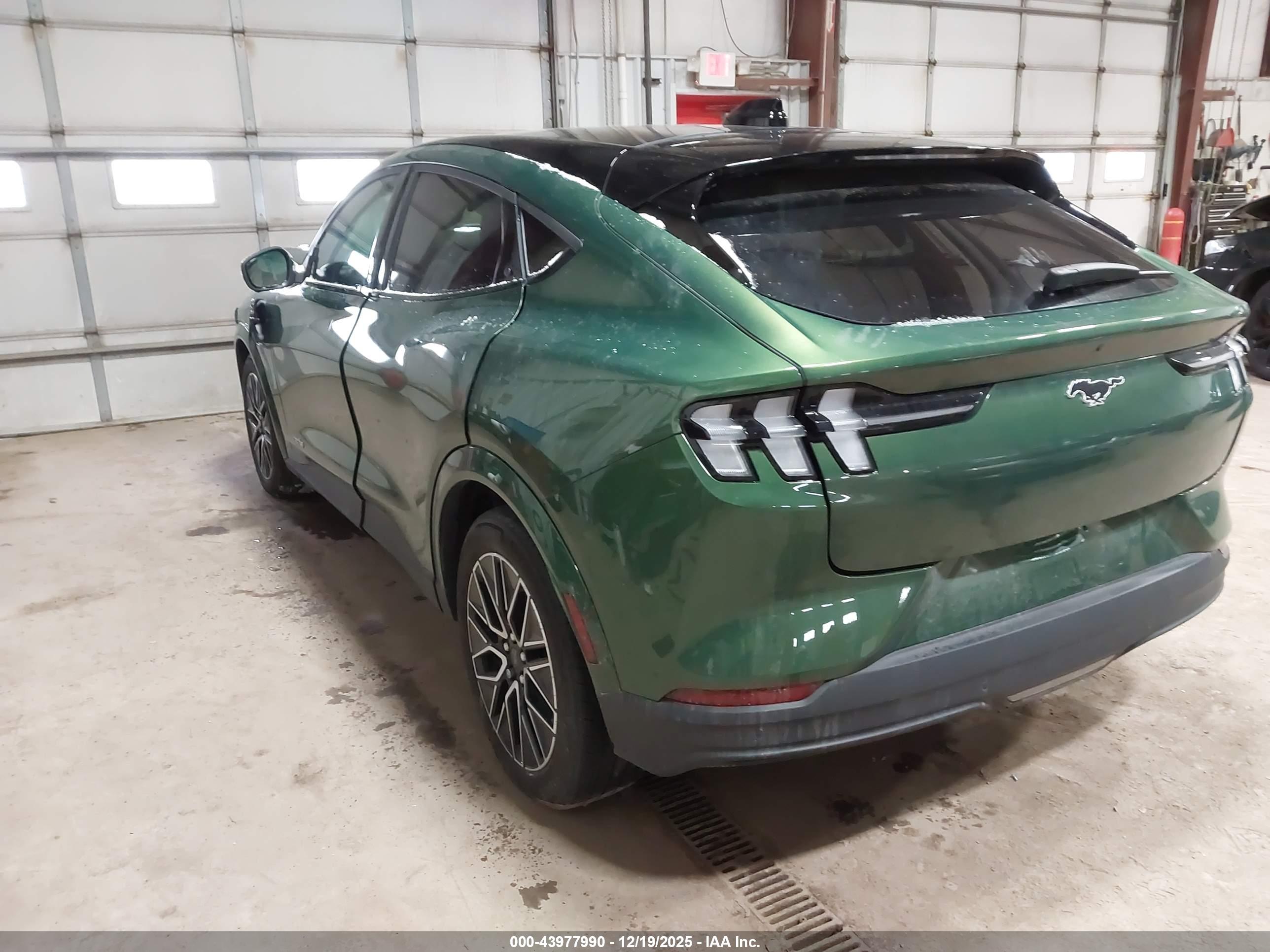 FORD MUSTANG image 3