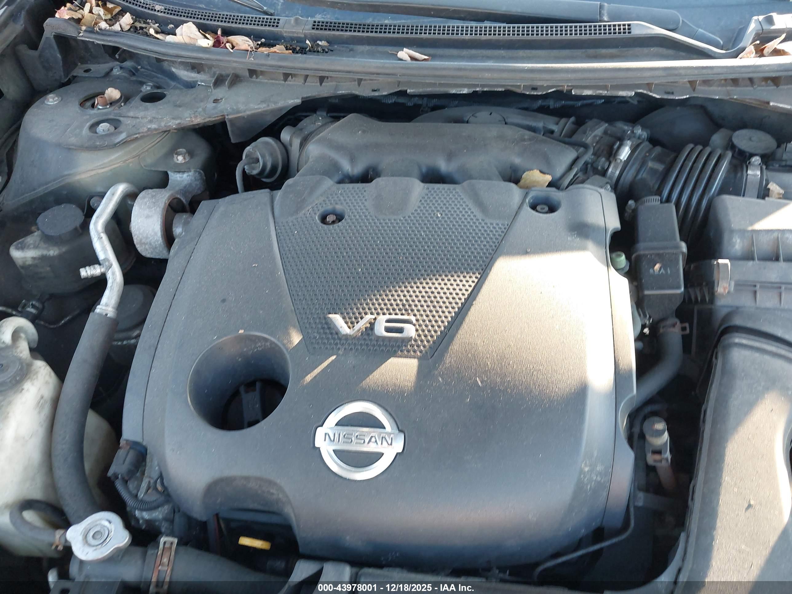 NISSAN MAXIMA image 10