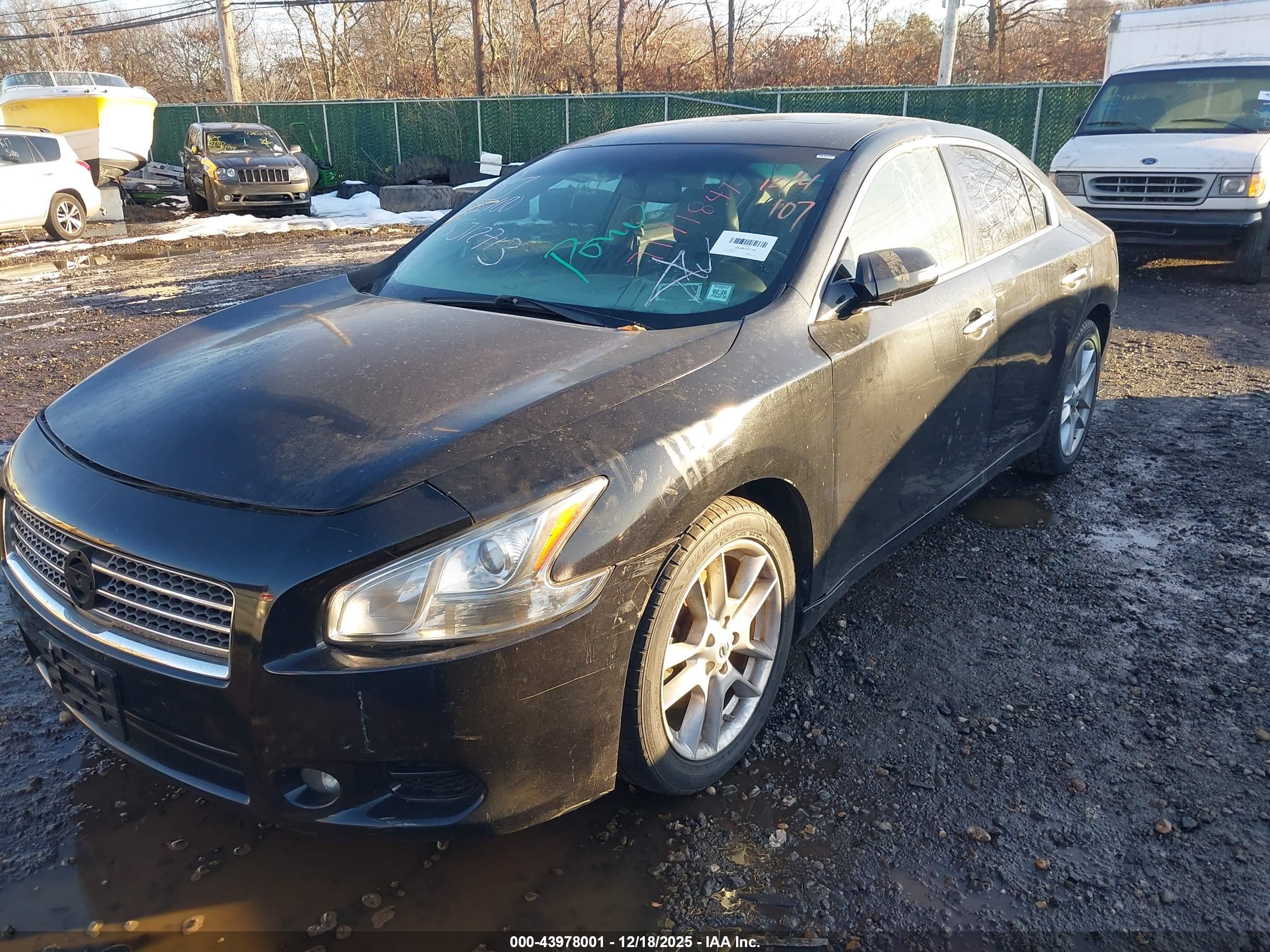 NISSAN MAXIMA image 2