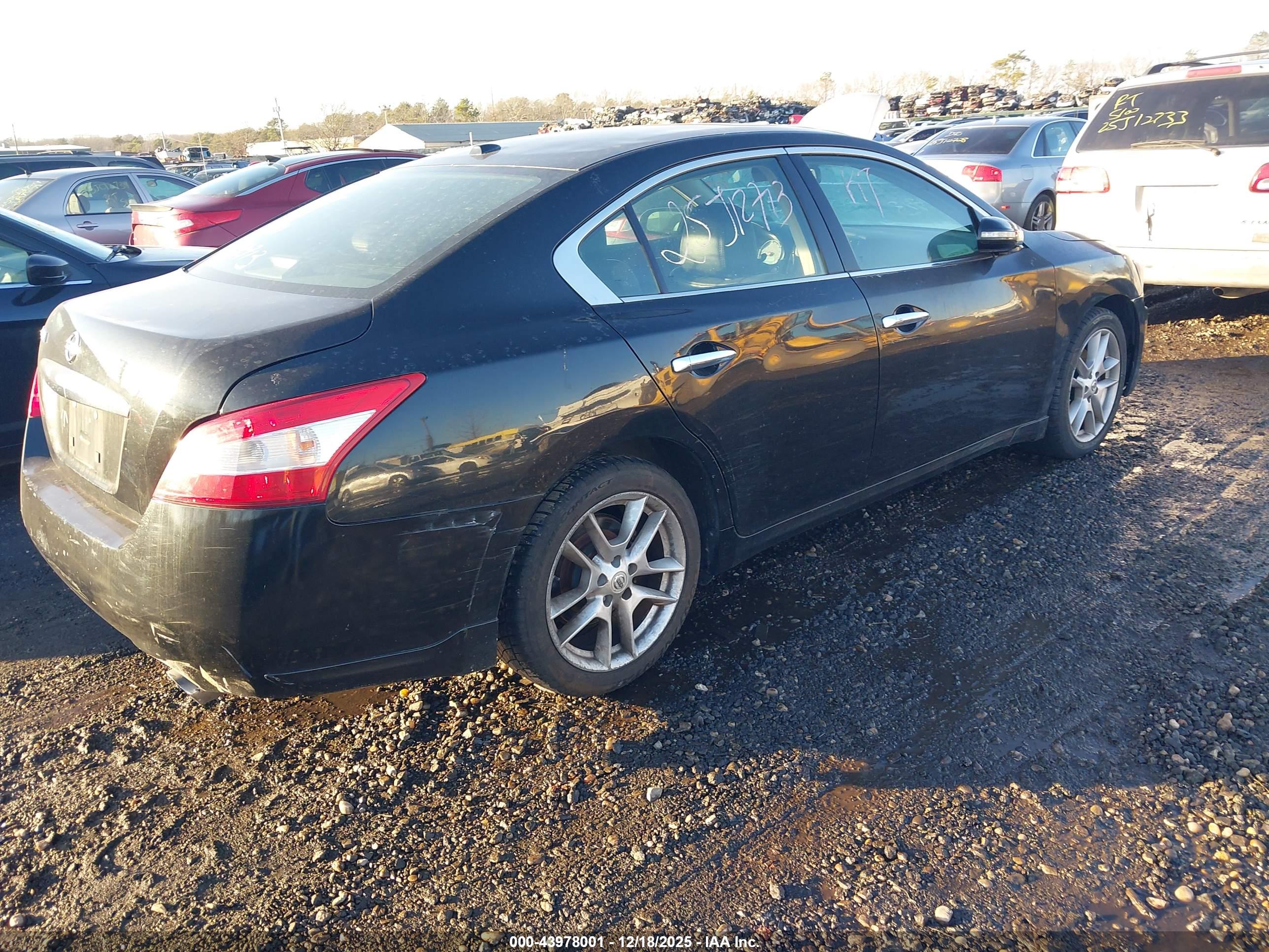 NISSAN MAXIMA image 4