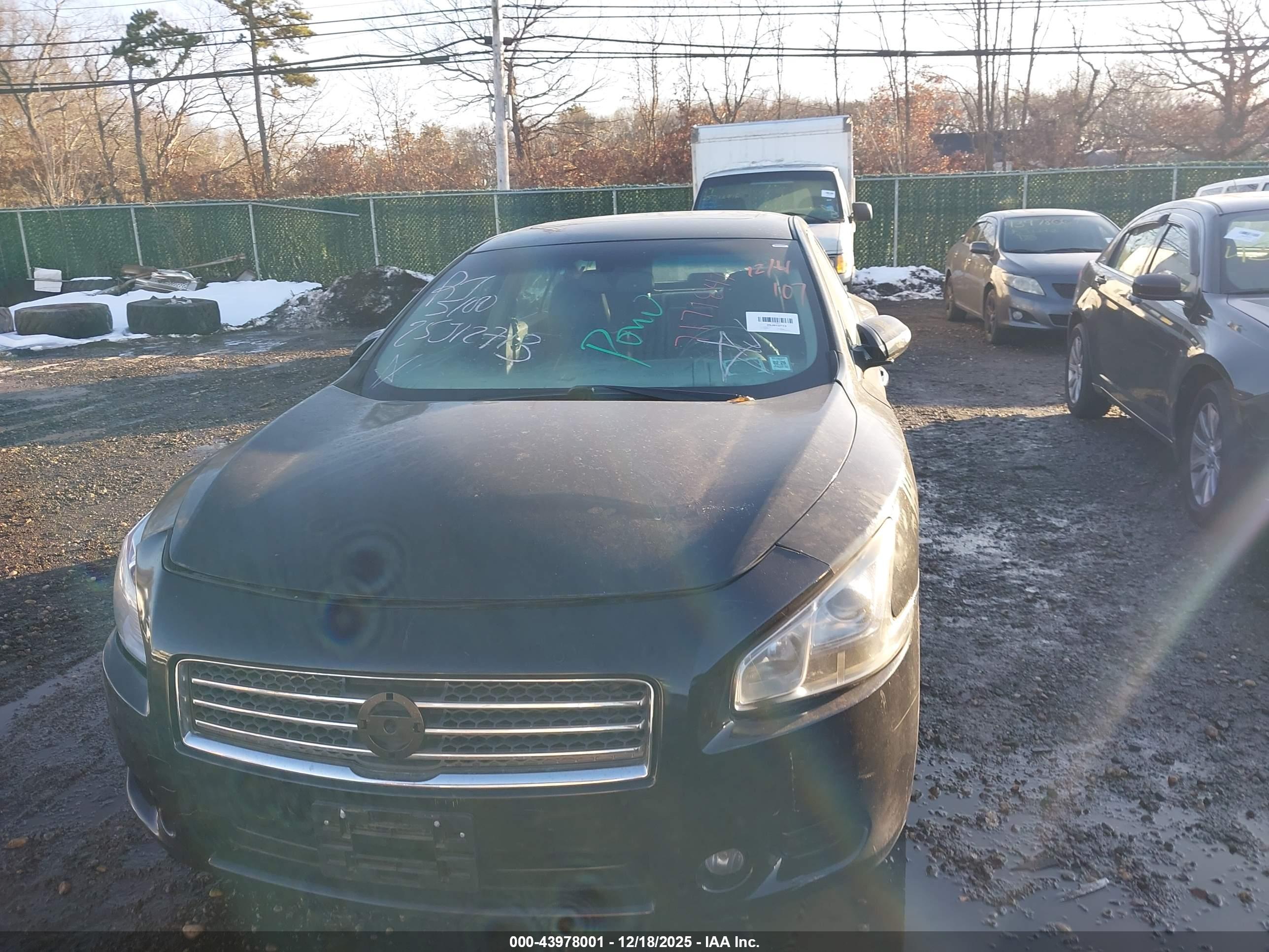 NISSAN MAXIMA image 6