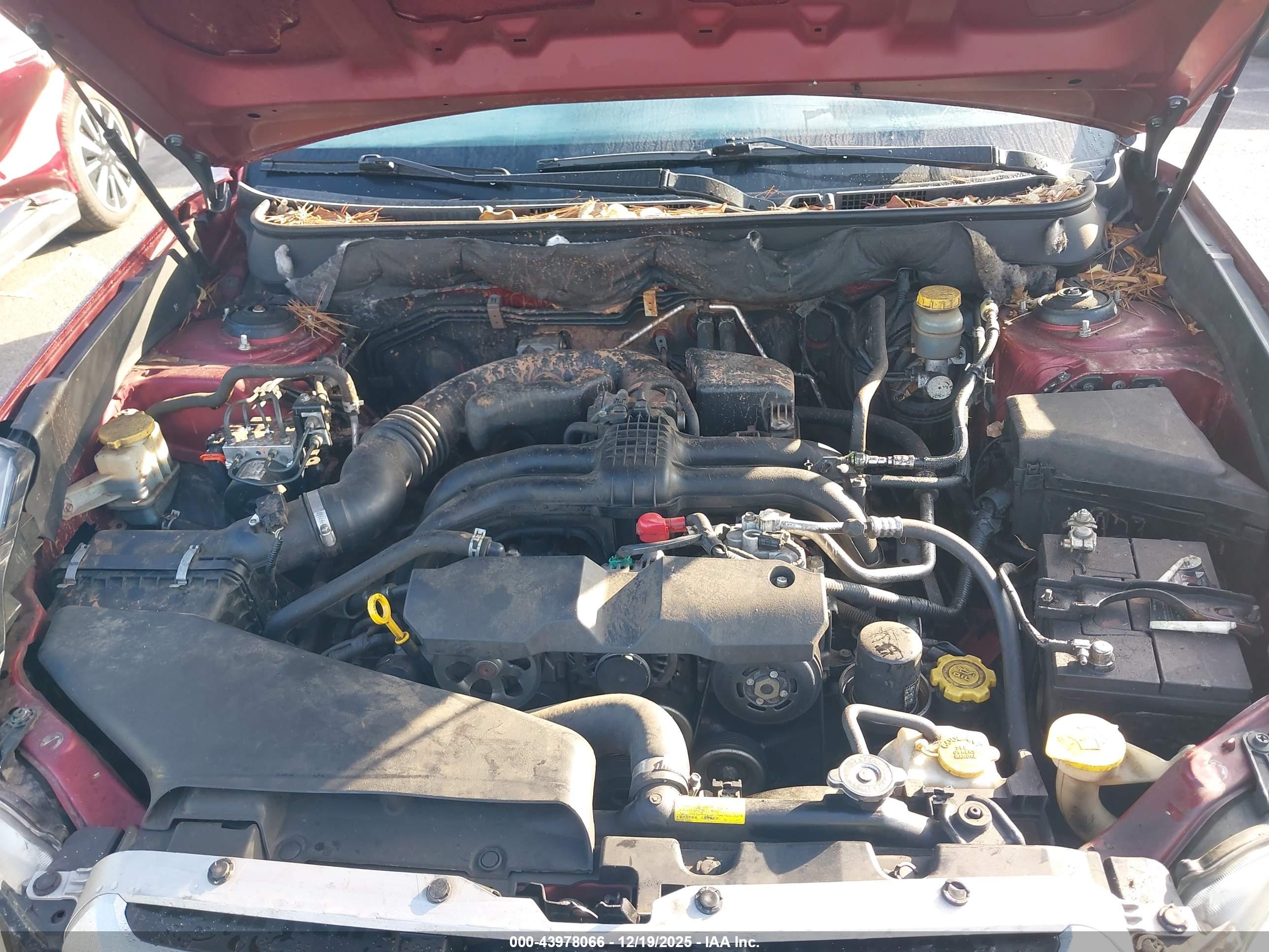 SUBARU OUTBACK image 10