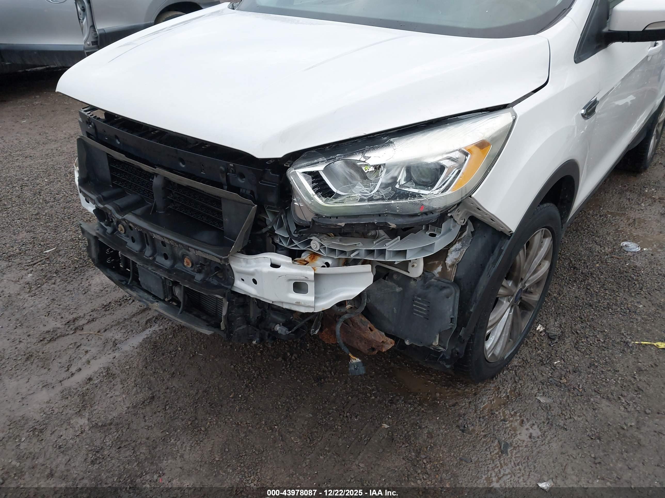 FORD ESCAPE image 6