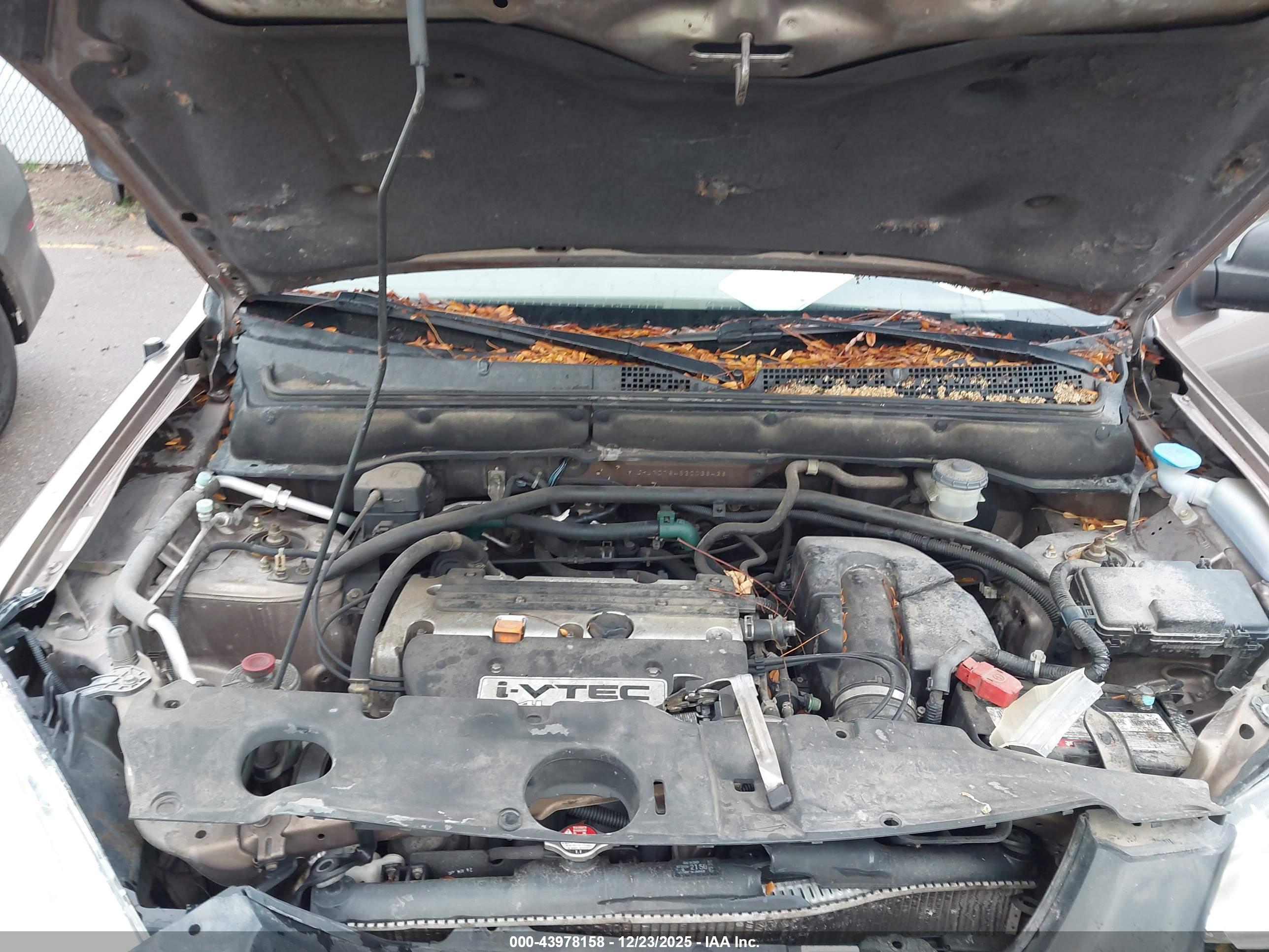HONDA CR-V image 10
