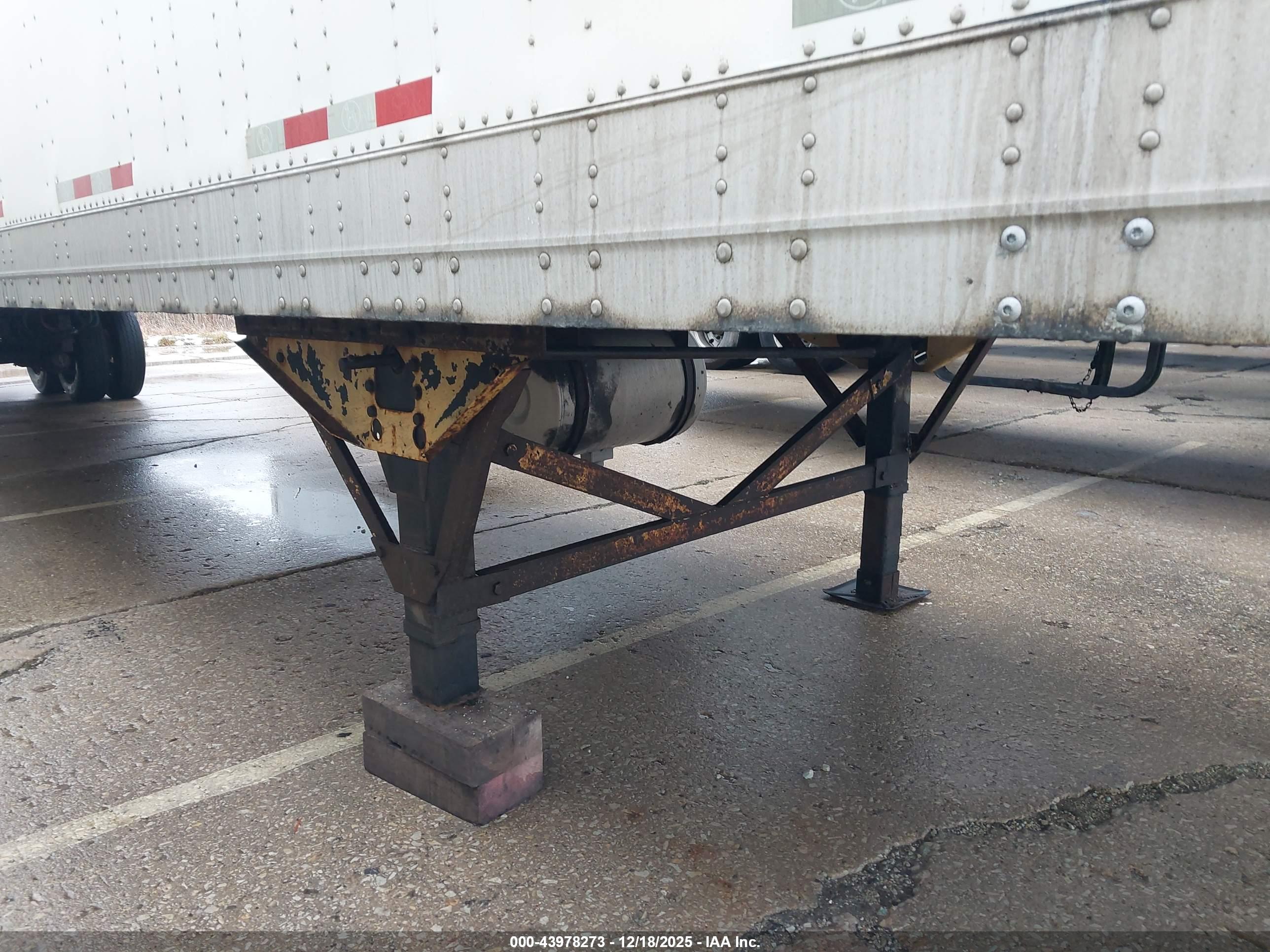 GREAT DANE image 6