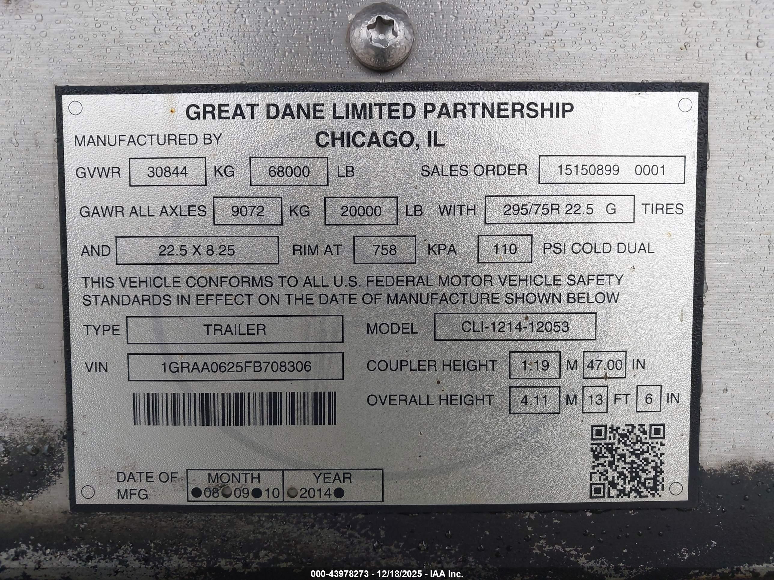 GREAT DANE image 9